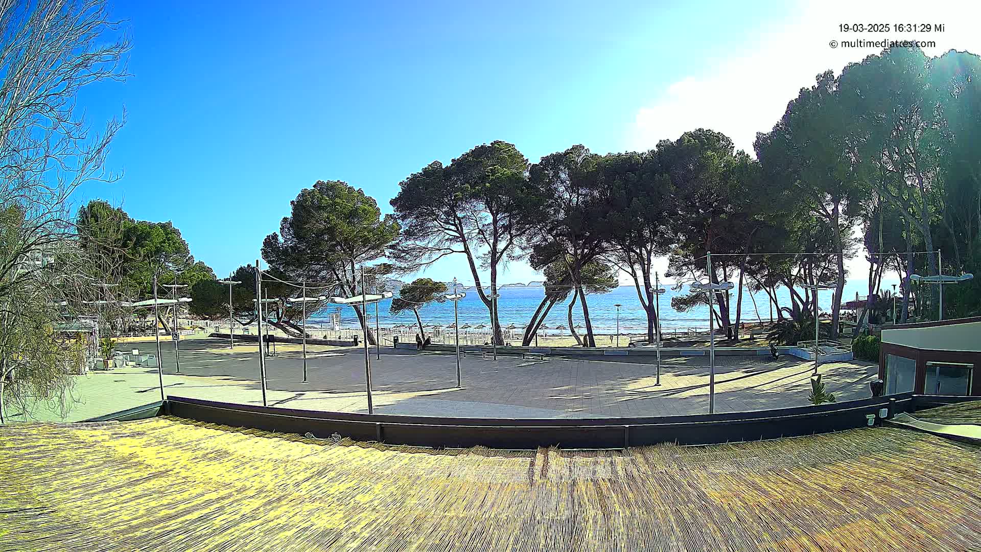 A paved plaza overlooks a sandy beach and calm ocean under a clear blue sky, with tall pine trees lining the shore.