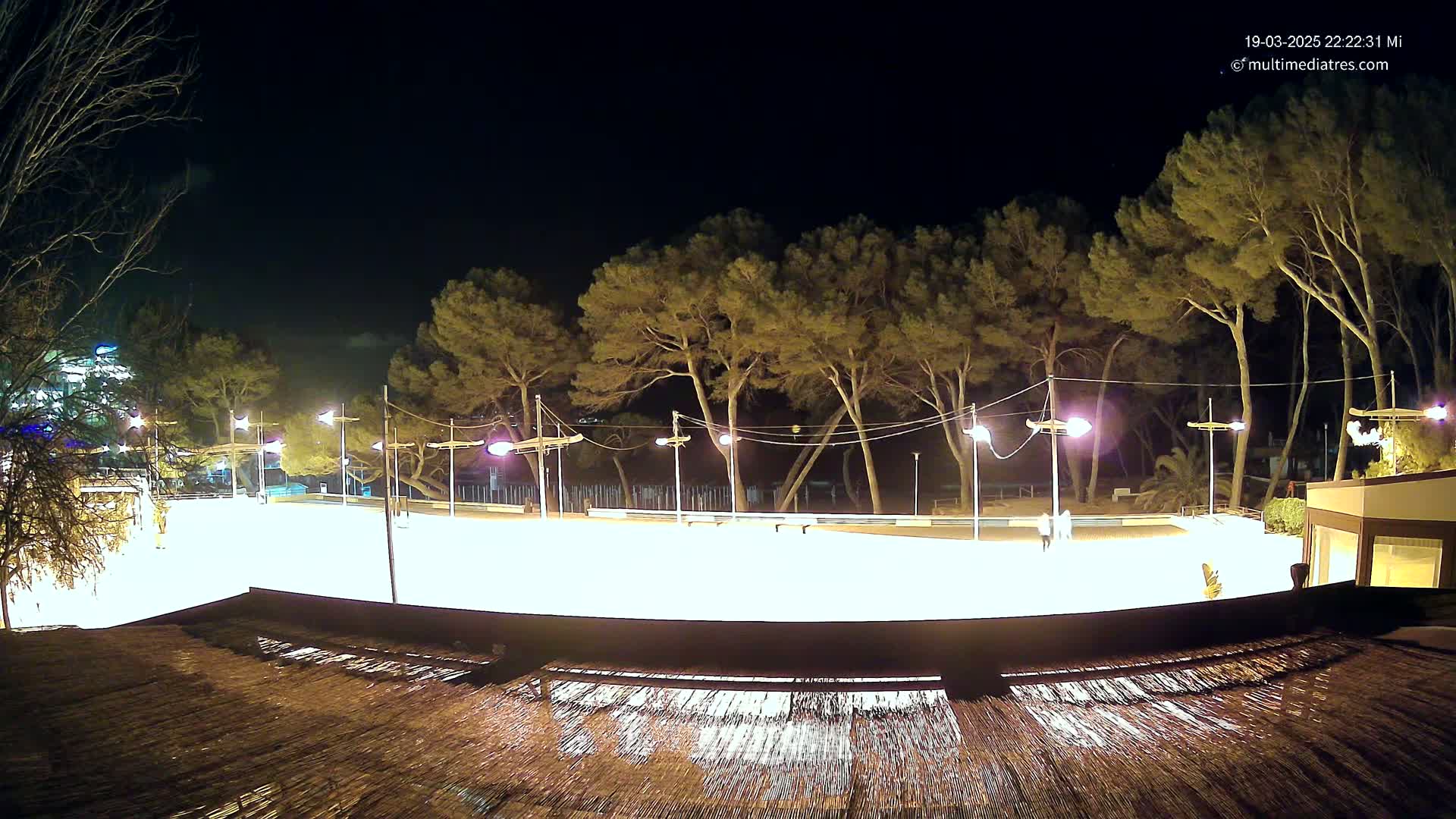 A brightly lit, empty skating rink at night is surrounded by tall, dark pine trees under a clear, dark sky.