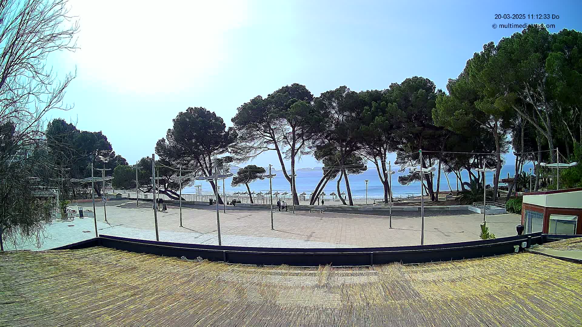 A paved plaza overlooks a sandy beach and calm ocean under a mostly clear sky, with tall pine trees lining the plaza and beach.