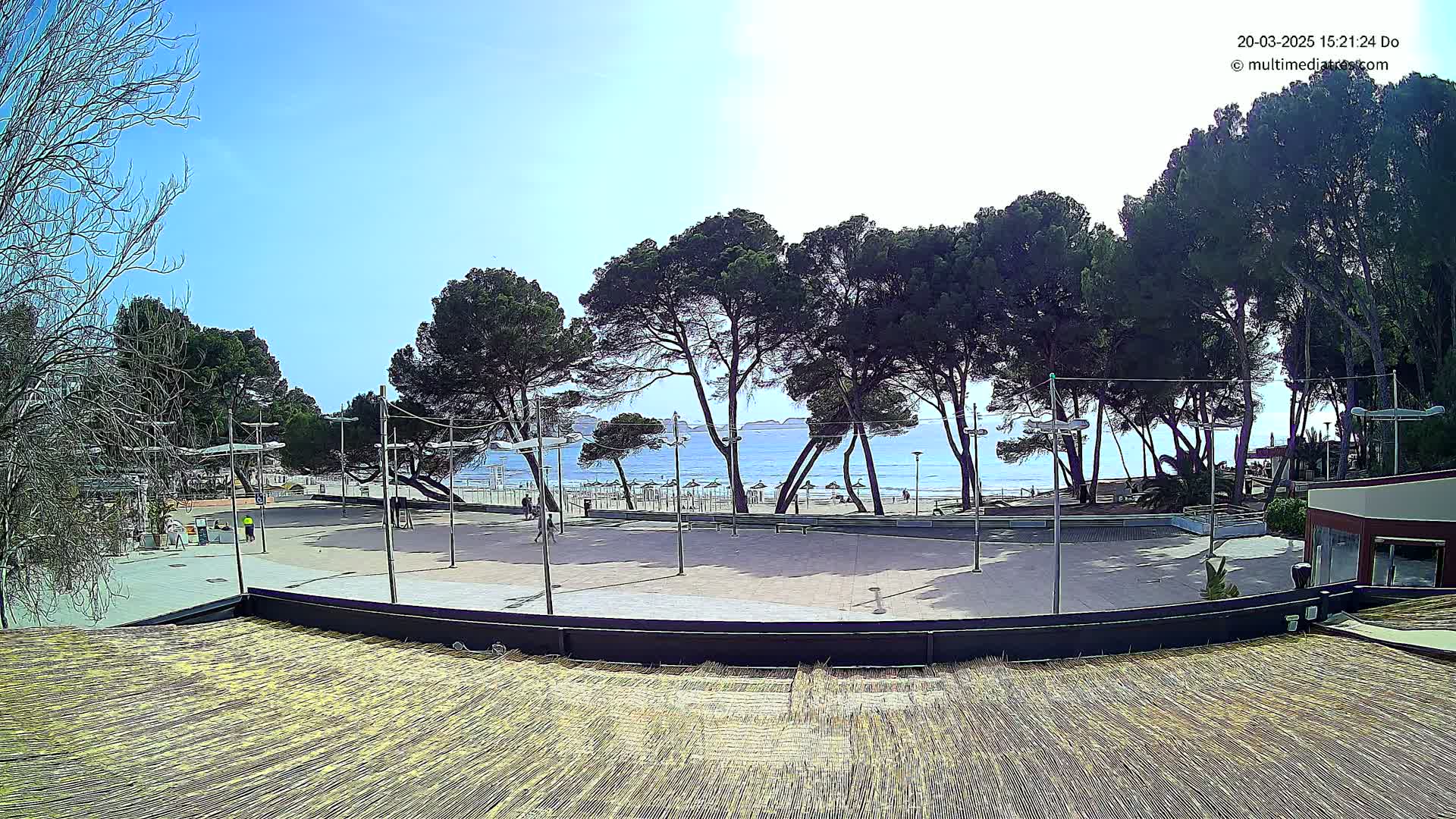 A paved plaza overlooks a sandy beach with calm ocean water under a clear blue sky, surrounded by tall pine trees.