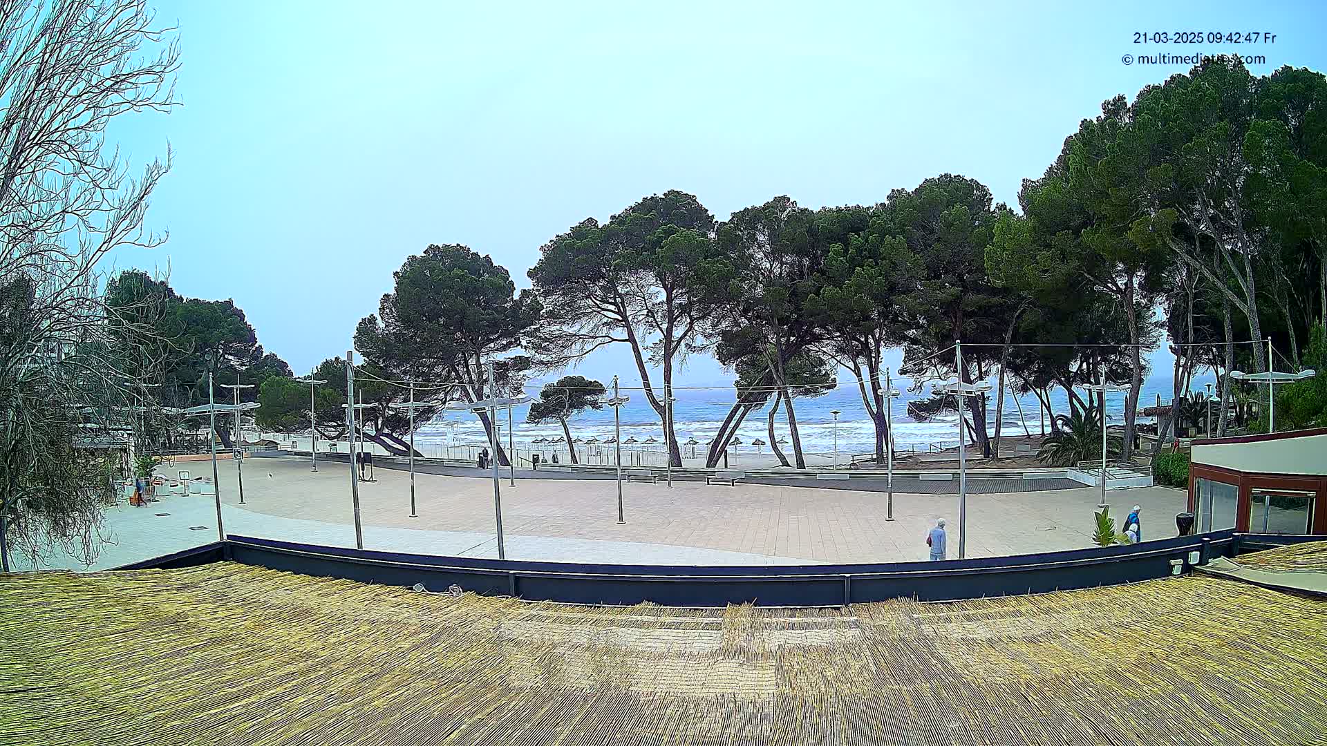 A paved plaza overlooks a beach with a row of pine trees and a somewhat cloudy sky.