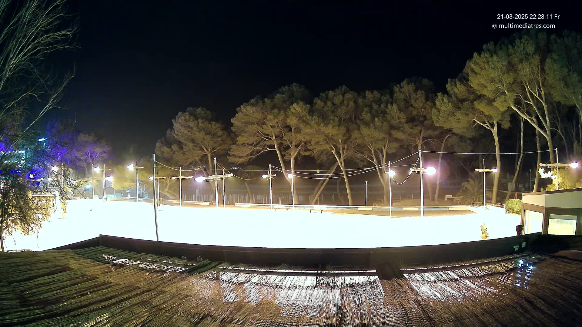 A brightly lit, empty ice rink at night, surrounded by tall pine trees under a clear, dark sky.