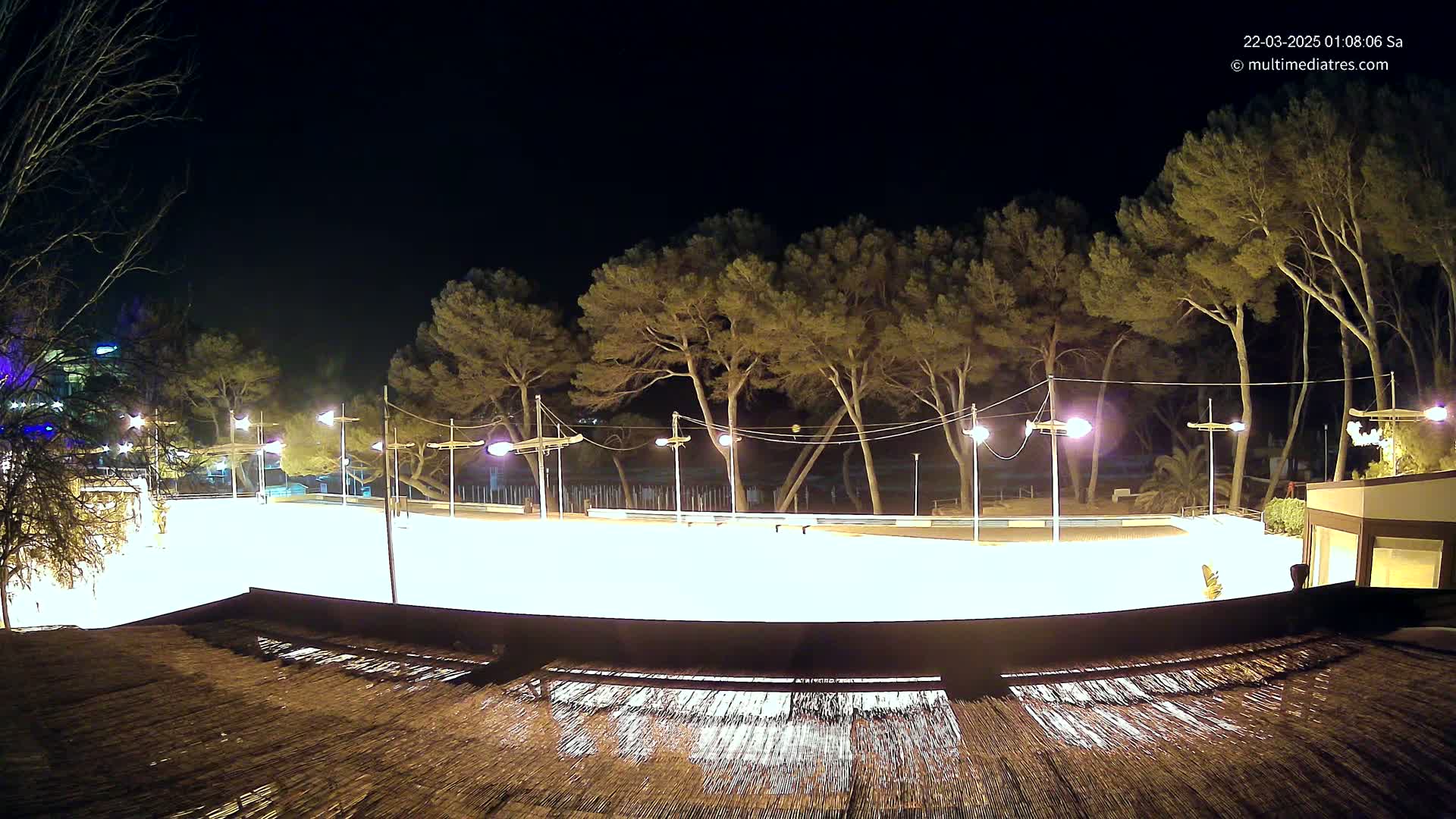 A brightly lit, empty skating rink at night is surrounded by dark pine trees and a building under a clear, dark sky.