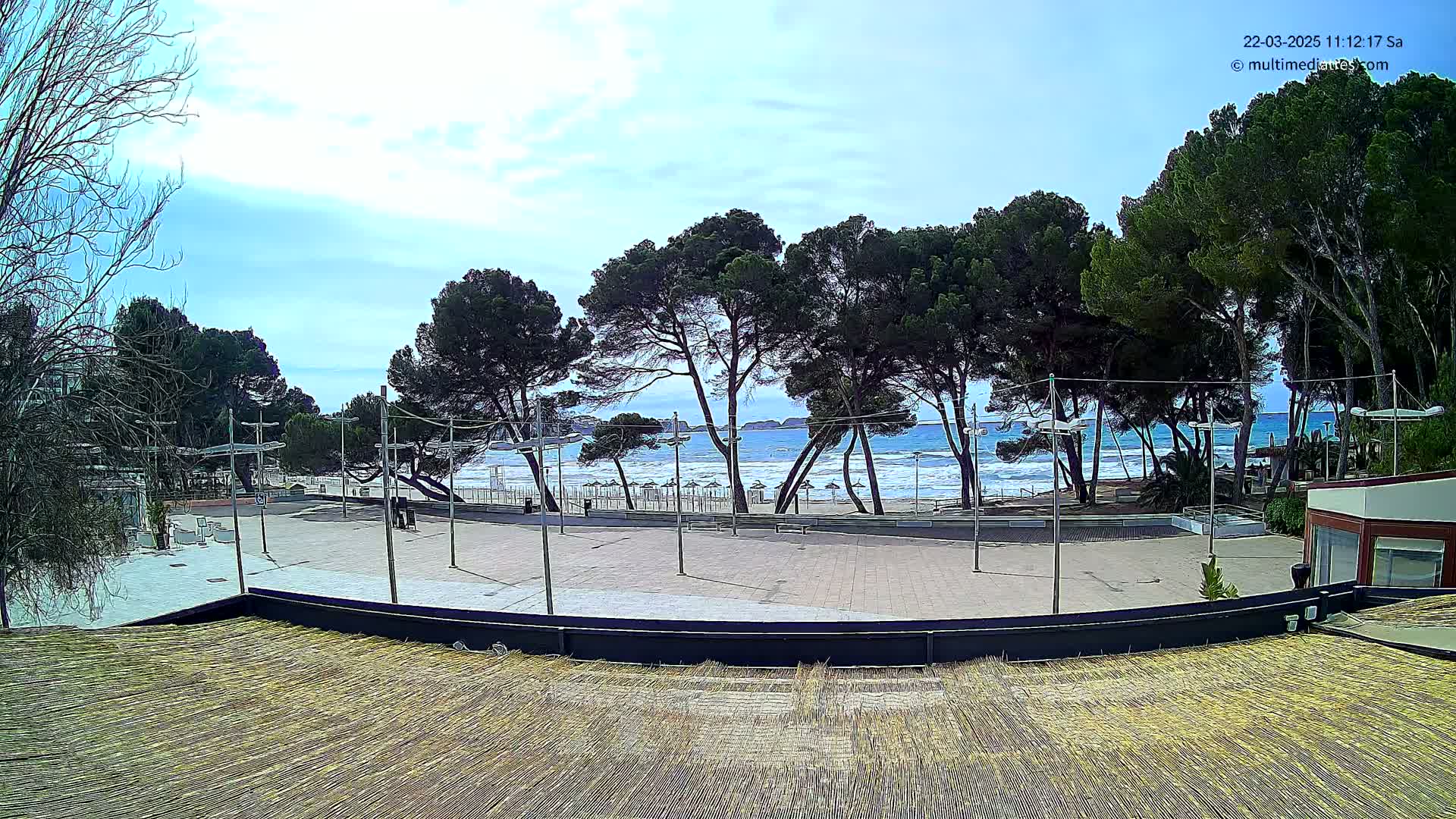 A mostly sunny outdoor scene shows a paved plaza with several tall pine trees in the background, overlooking a beach with light waves under a partly cloudy sky.