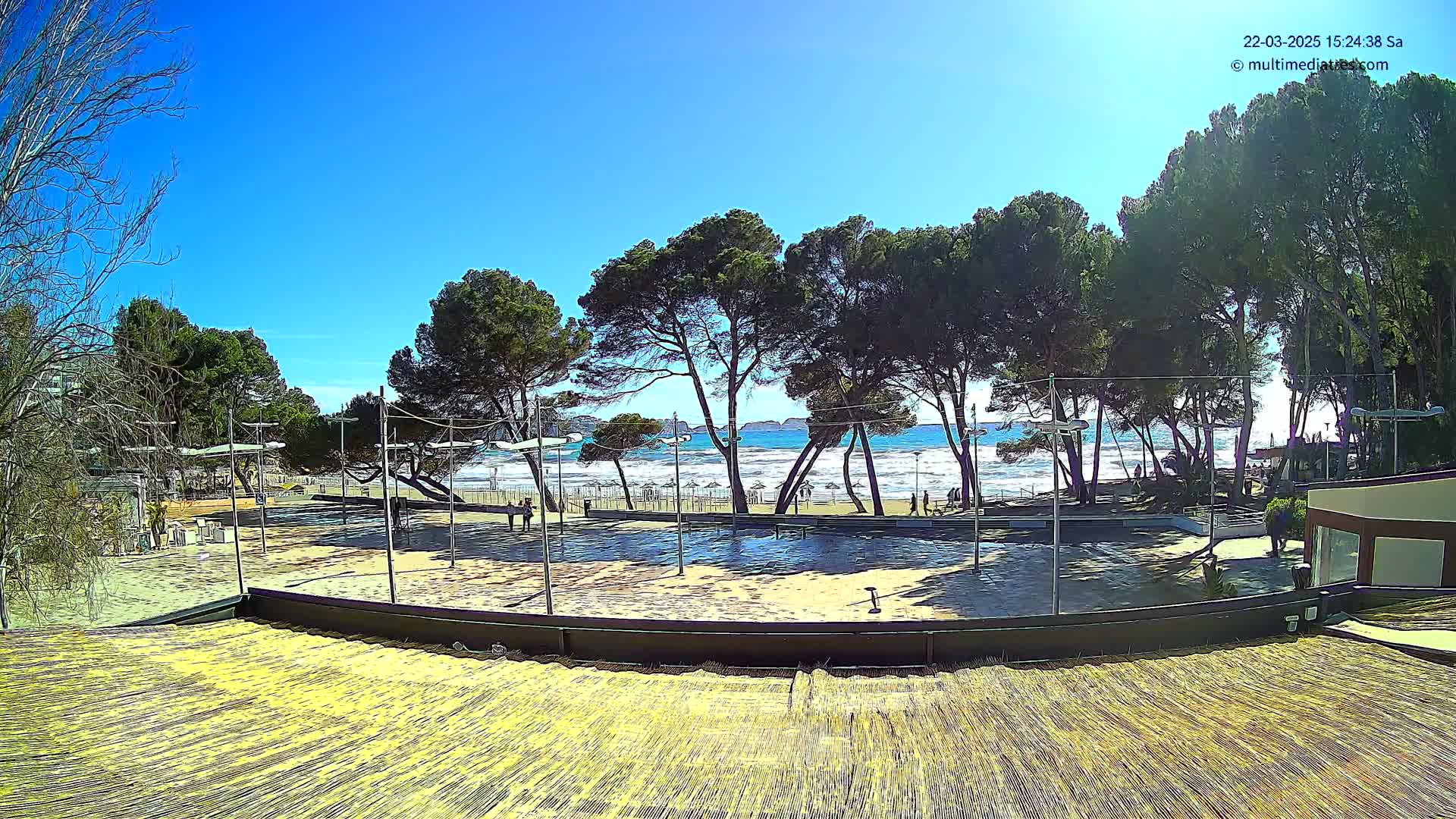 A sandy beach with a calm ocean is visible beyond a paved area surrounded by pine trees under a clear blue sky.
