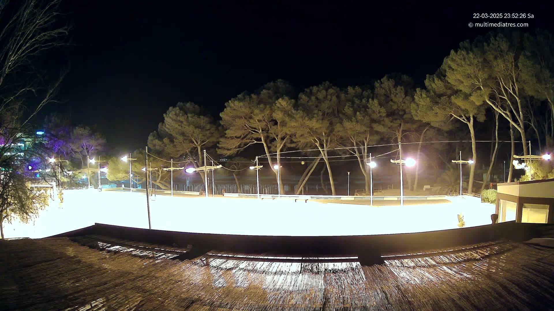 A brightly lit, empty skating rink at night, surrounded by dark trees and illuminated by streetlights.