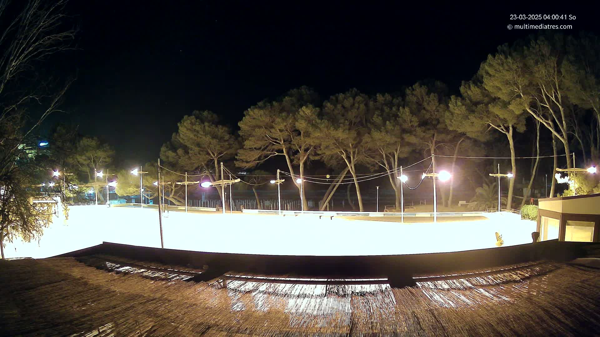 A brightly lit, empty skating rink at night, surrounded by tall pine trees under a clear, dark sky.