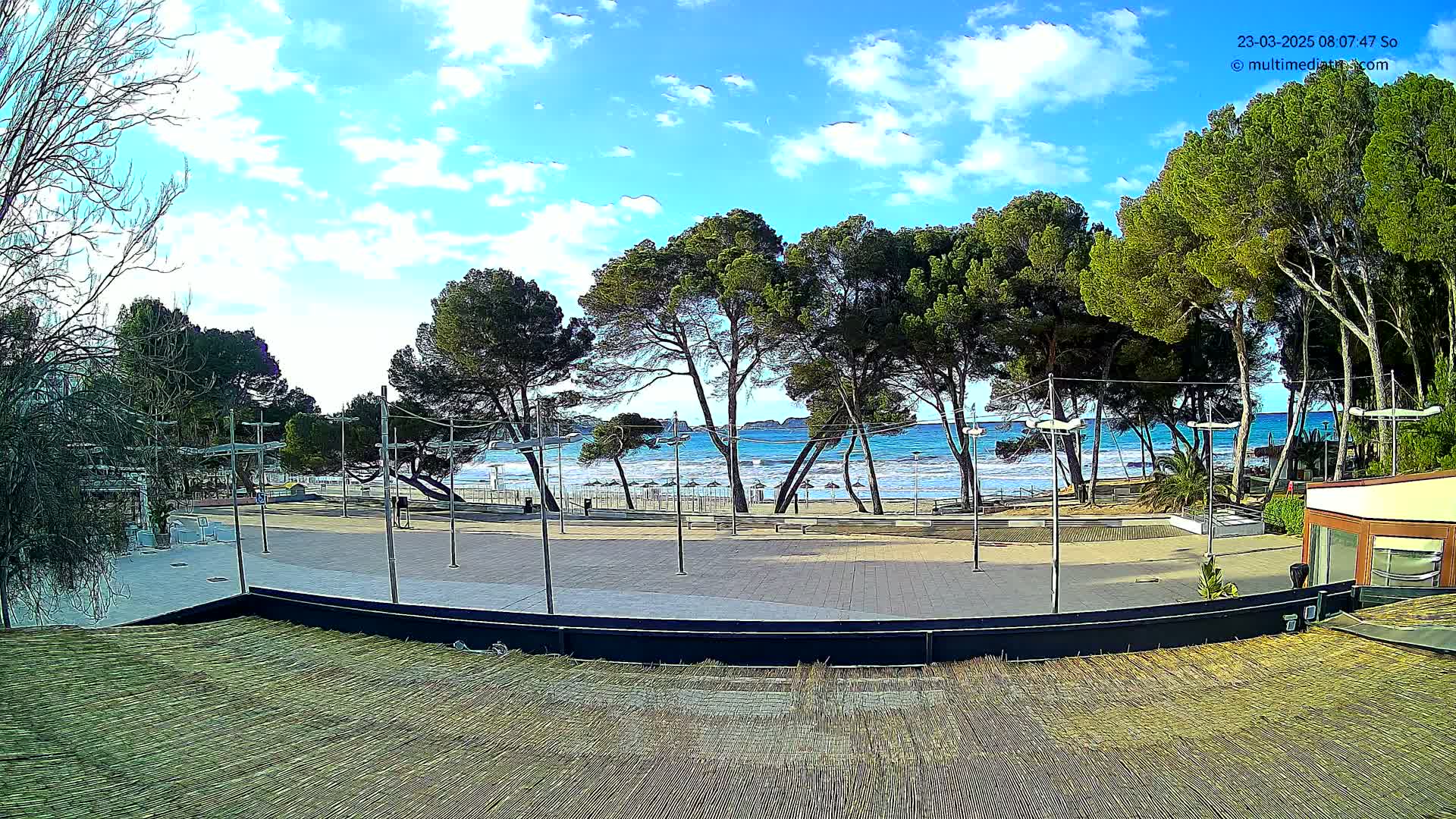 A paved plaza overlooks a beach with moderate waves under a partly cloudy blue sky, lined with pine trees.