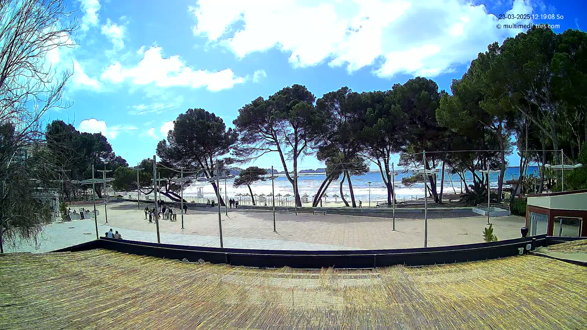 A paved plaza overlooks a beach with a partly cloudy sky and a row of pine trees separating the two.