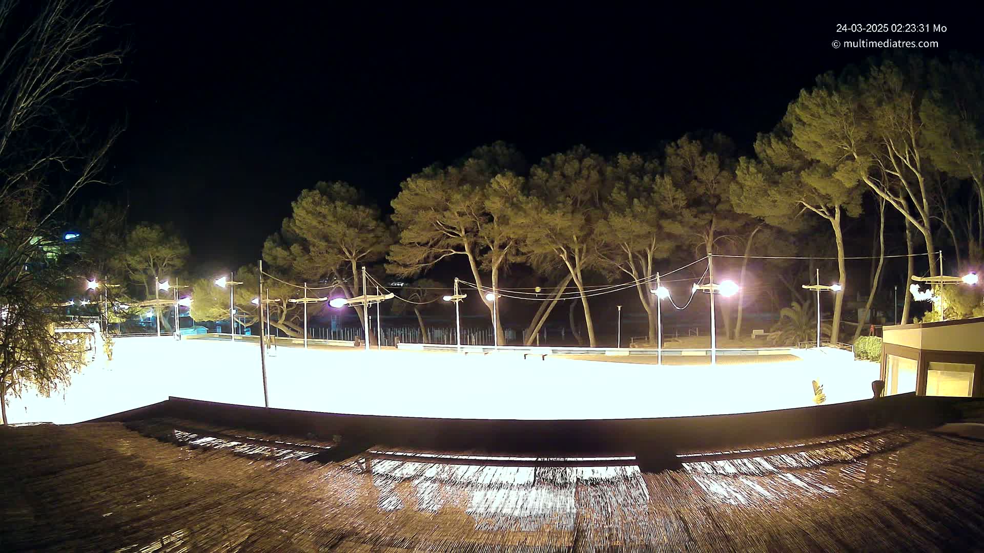 A brightly lit, empty outdoor rink is surrounded by tall pine trees at night.