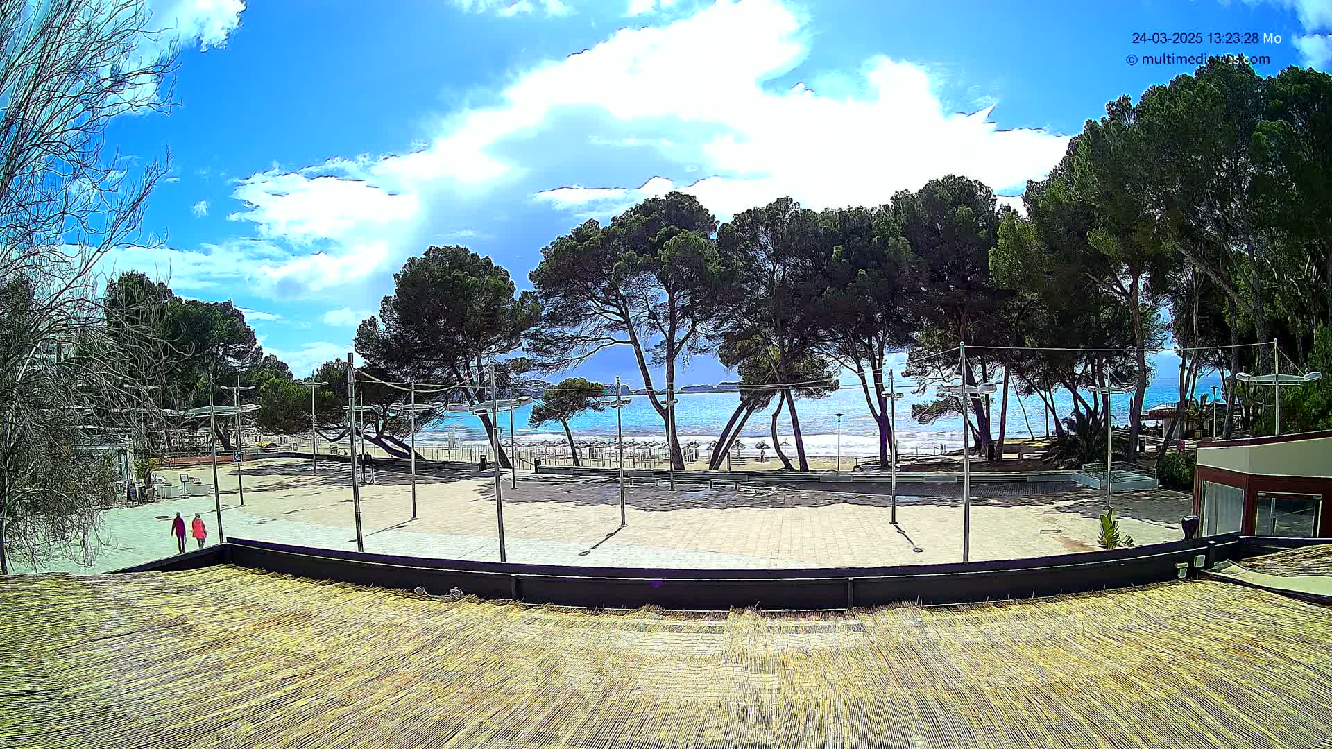 A mostly sunny day at a beach with a paved plaza, several pine trees, and a view of calm blue water.