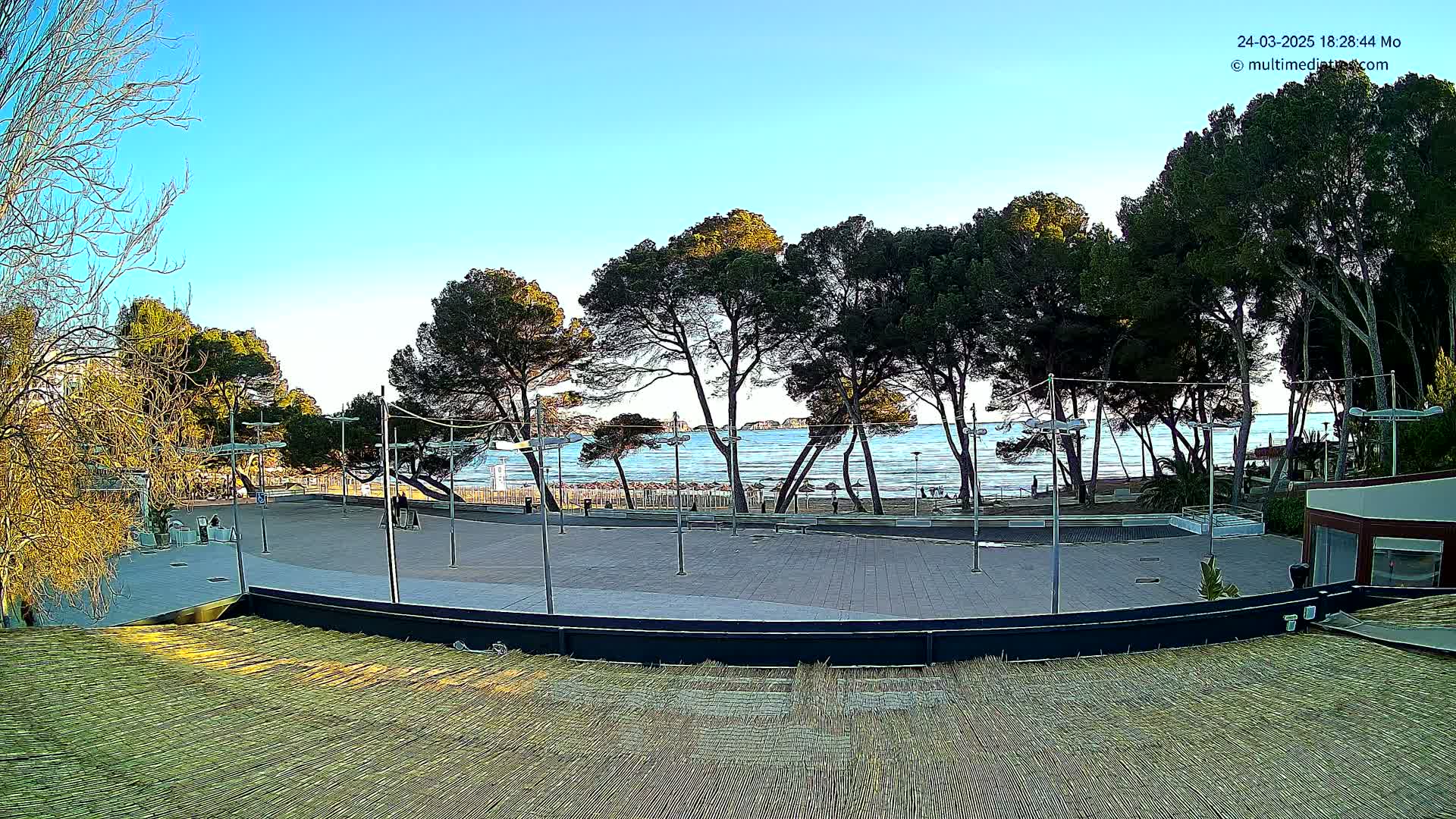 A paved plaza with several tall pine trees overlooks a calm ocean under a clear blue sky.