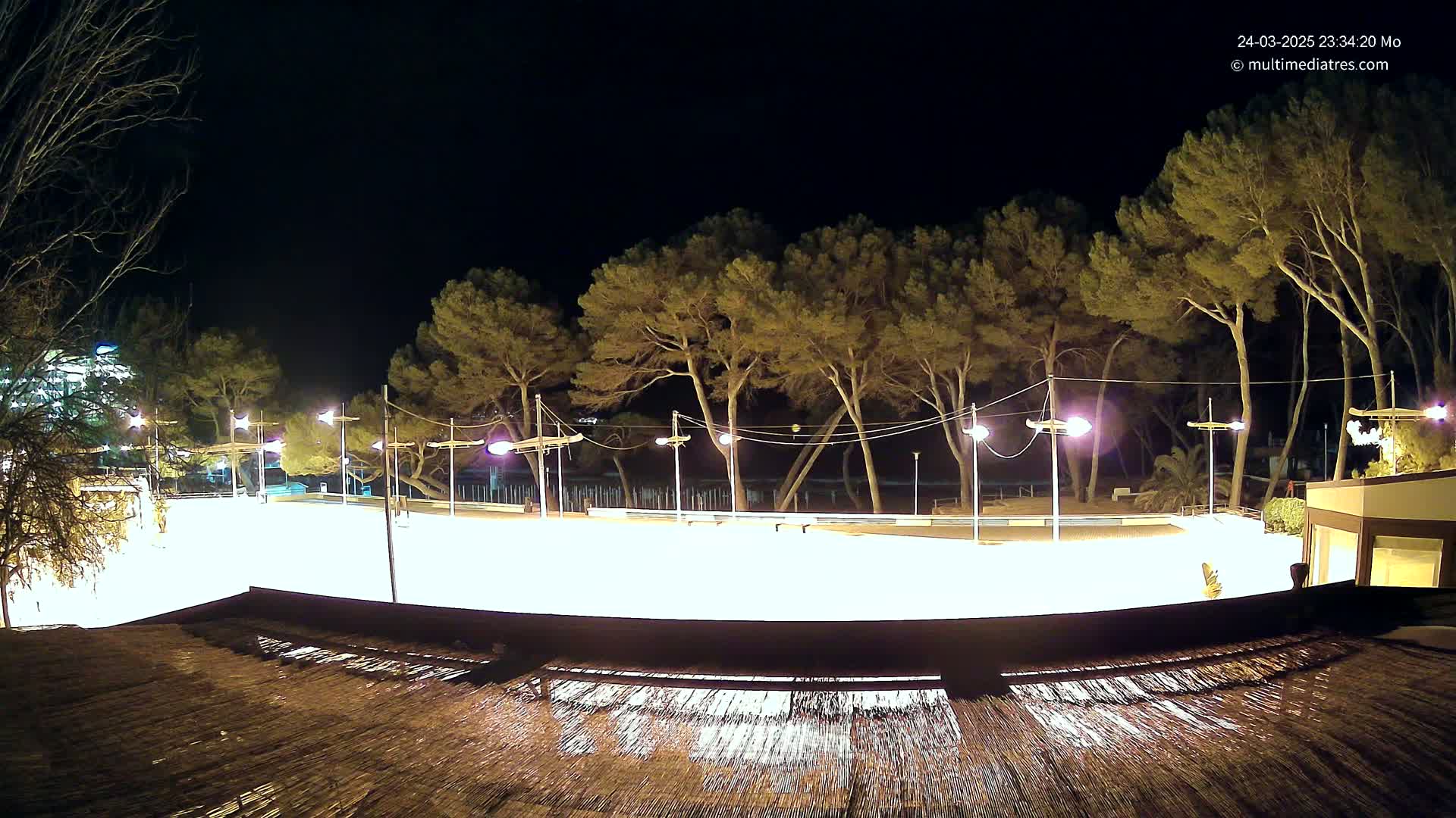 A brightly lit, empty skating rink at night, surrounded by tall pine trees under a clear, dark sky.