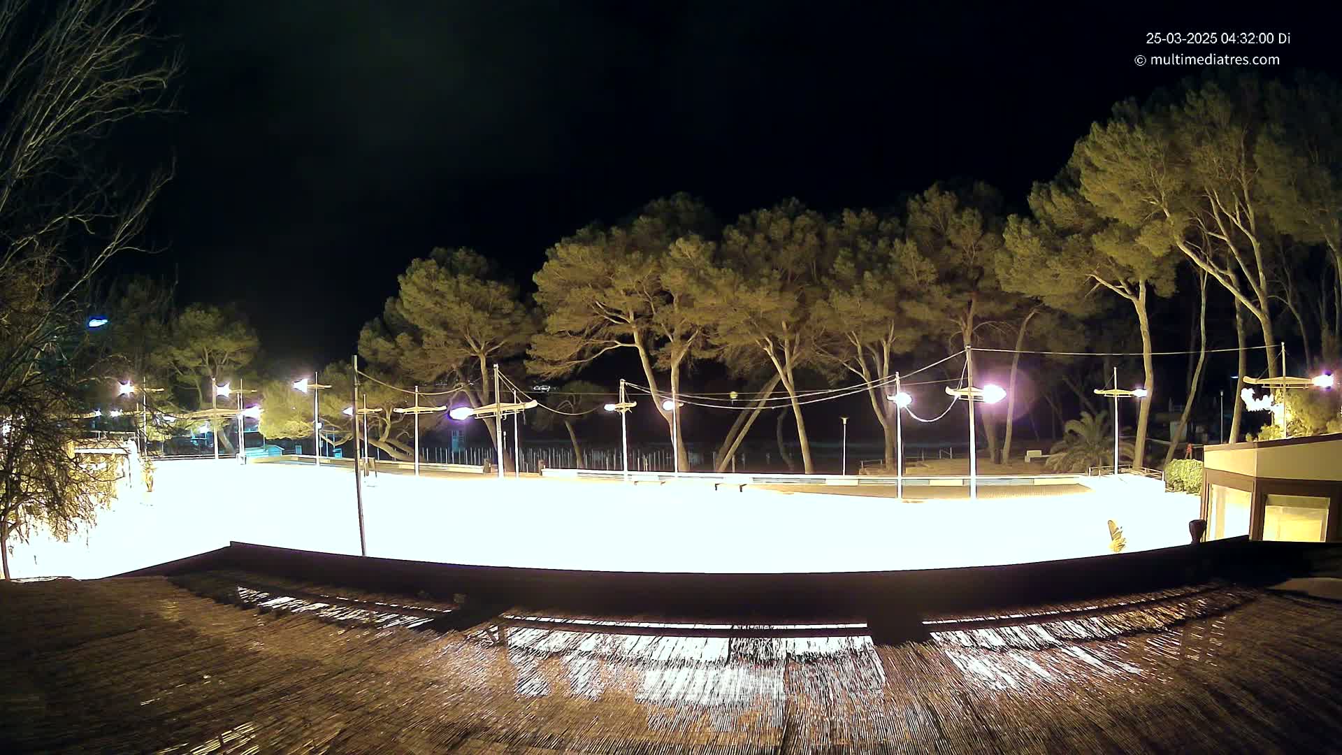 A brightly lit, empty outdoor skating rink at night, surrounded by tall pine trees under a clear, dark sky.