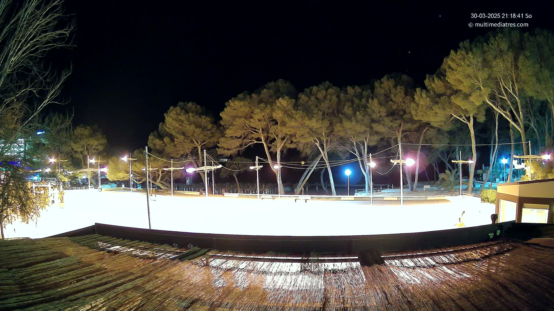 A brightly lit, empty skating rink at night, surrounded by tall, dark trees under a clear, starlit sky.