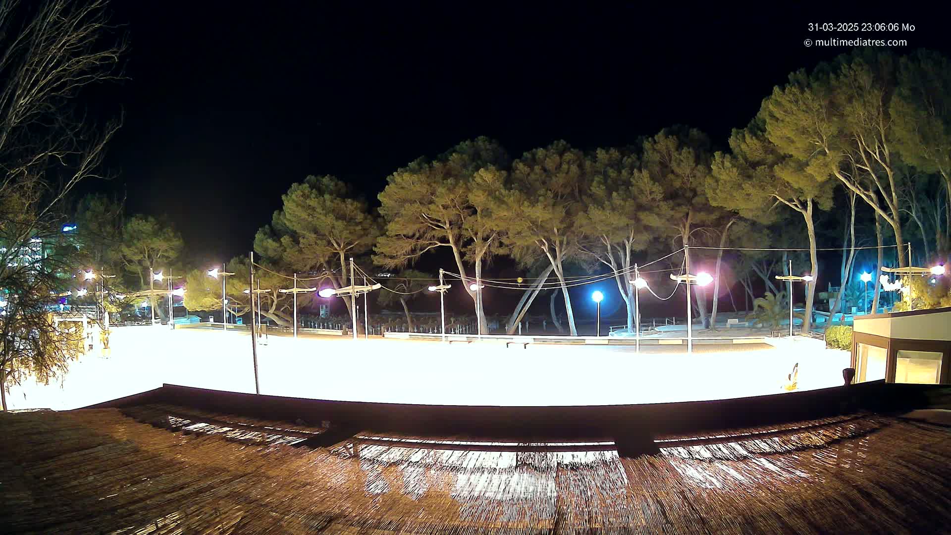 A brightly lit, empty skating rink at night, surrounded by tall, dark trees under a clear, dark sky.