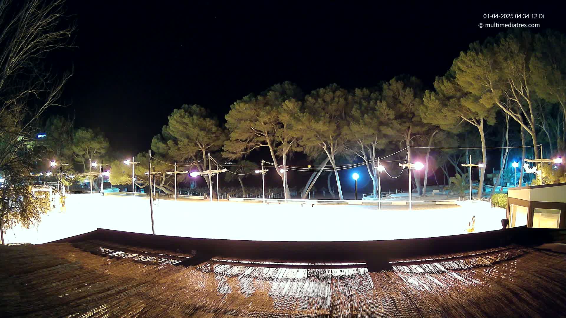 A brightly lit, empty ice rink at night, surrounded by tall pine trees under a dark, clear sky.