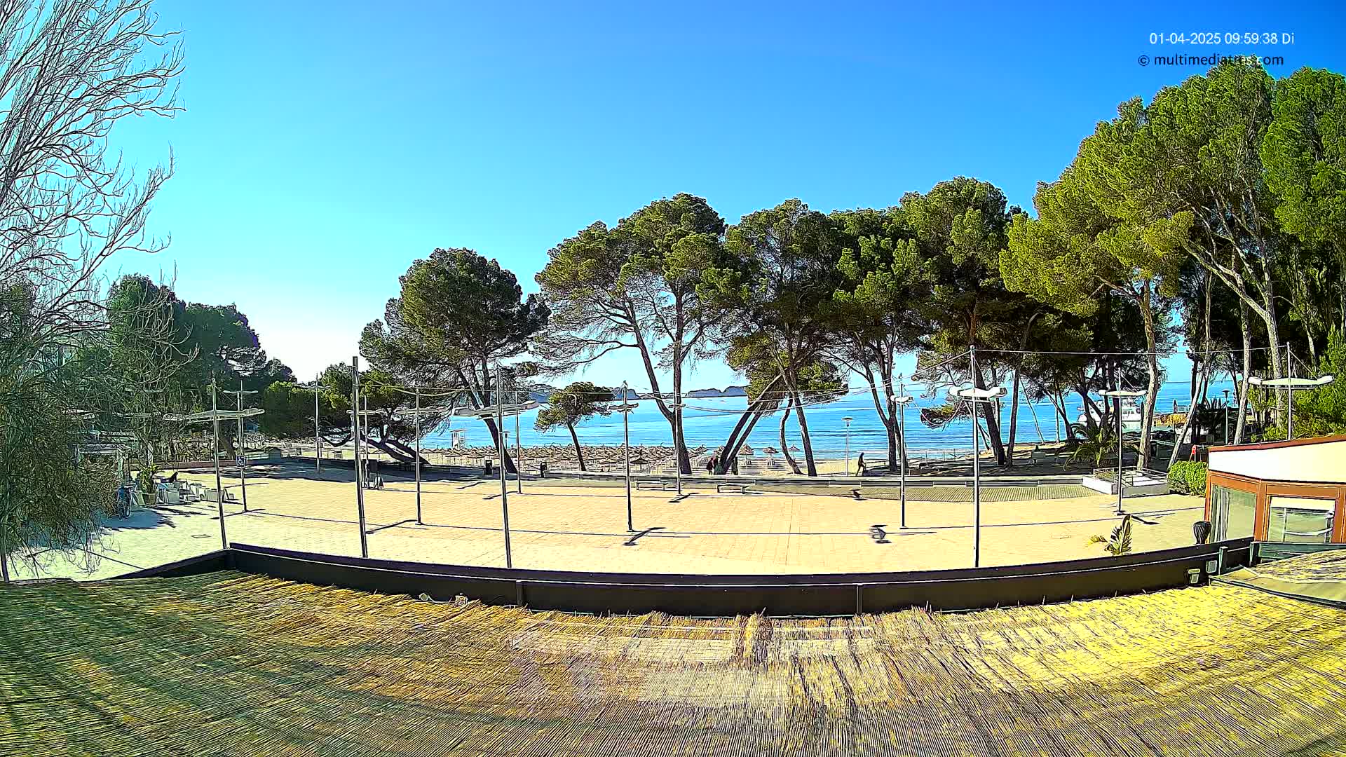 A paved plaza with tall pine trees overlooks a calm, blue ocean beach on a sunny day.