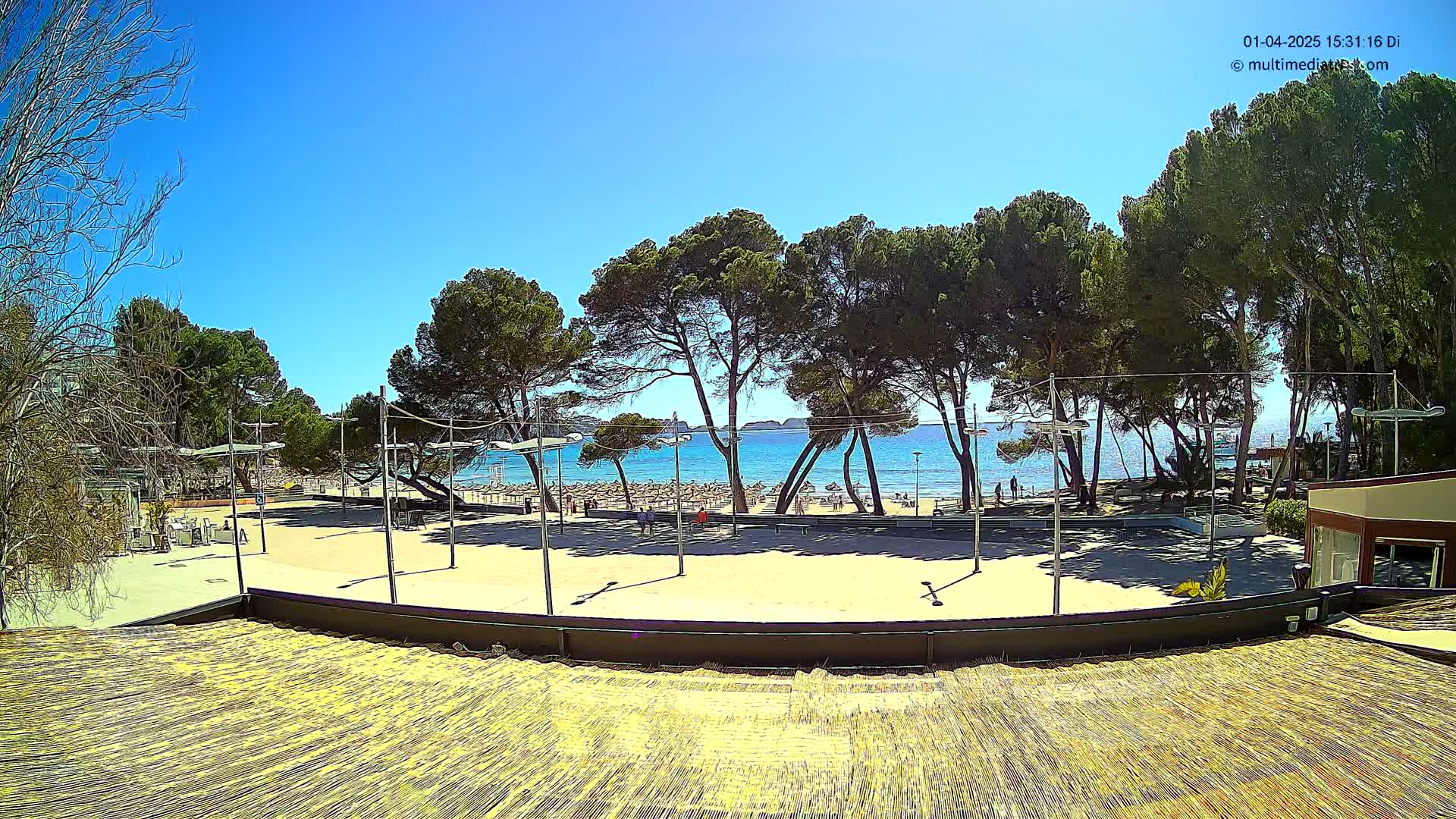 A sandy beach with many people and umbrellas is visible beyond a row of pine trees and a paved area with volleyball courts, all under a clear blue sky.