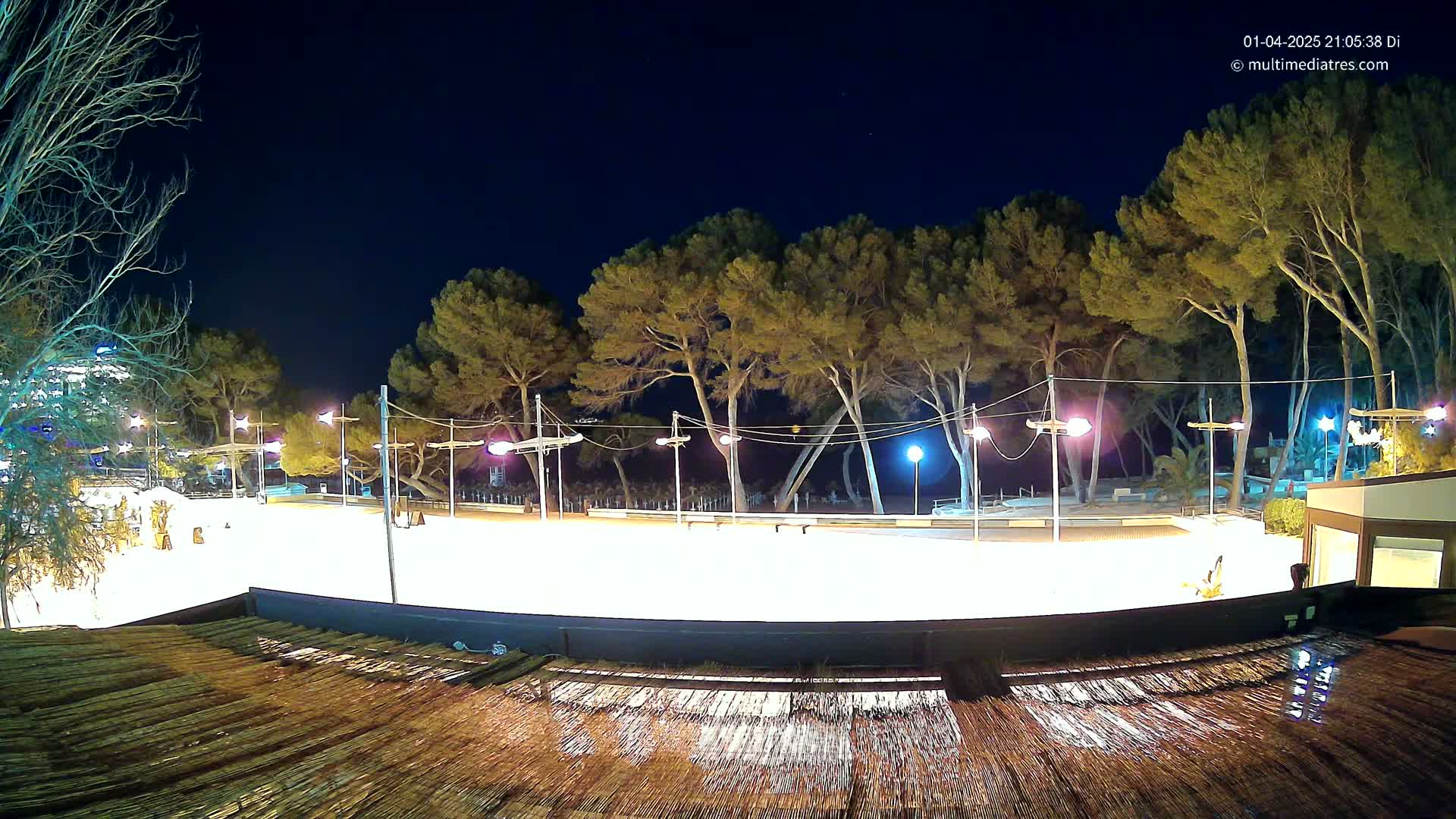 An outdoor, brightly lit ice rink at night, surrounded by tall pine trees under a clear, dark sky.
