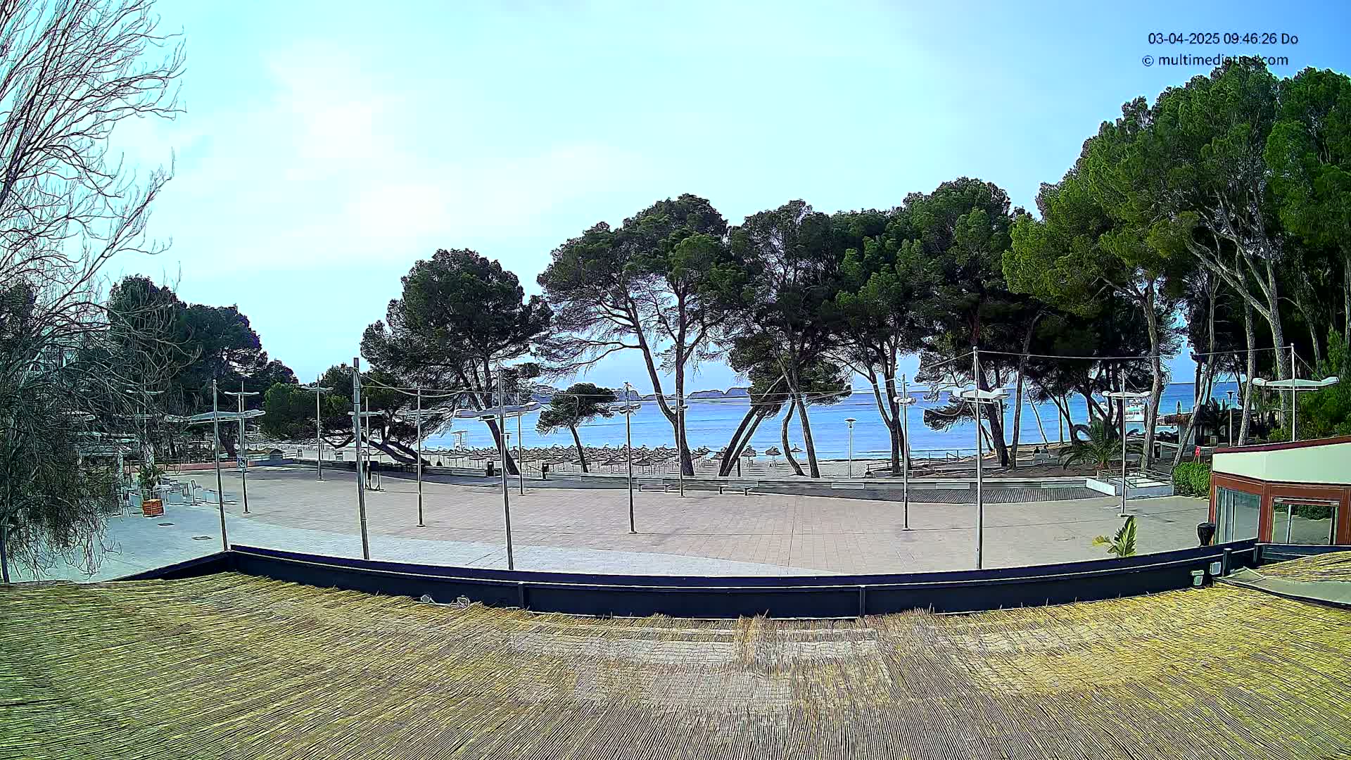 A paved plaza overlooks a beach with calm blue water and a line of pine trees under a mostly clear sky.