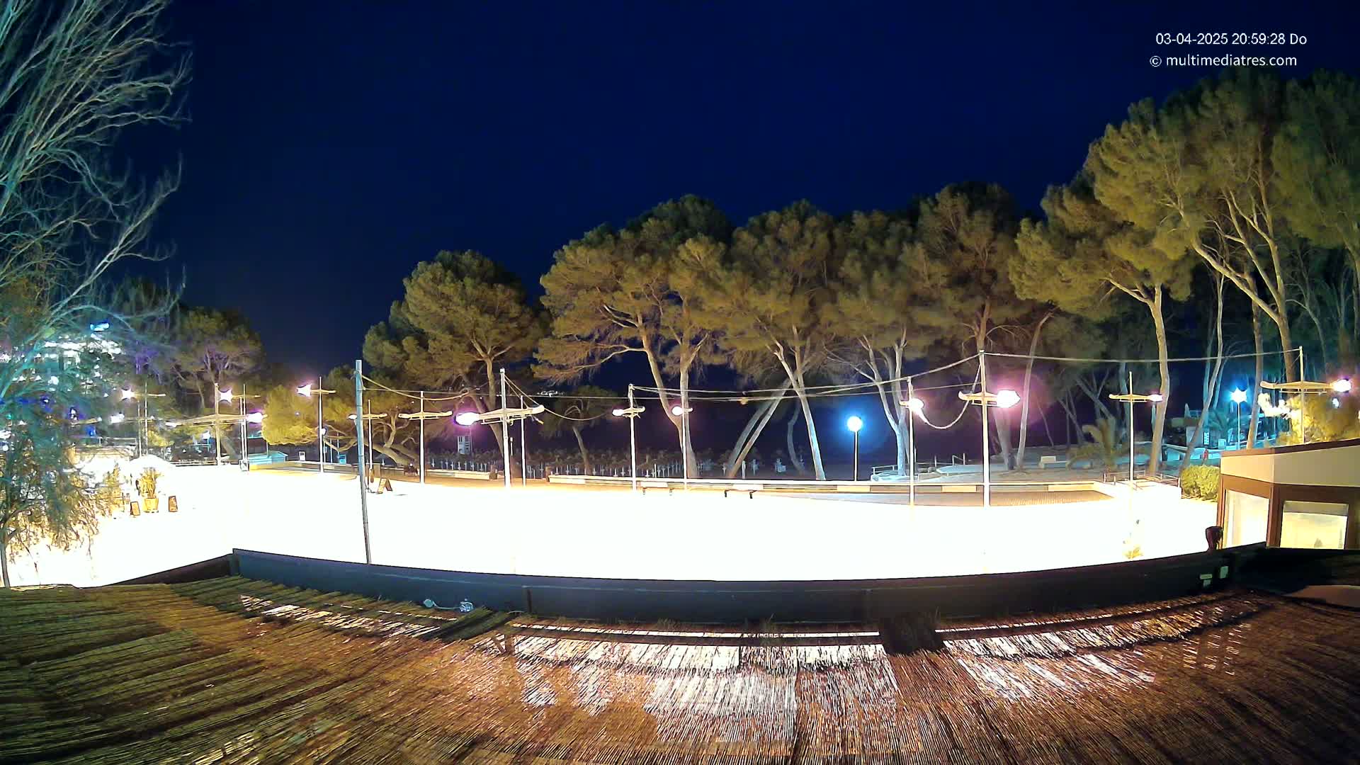 A brightly lit, empty ice rink at night, surrounded by tall pine trees under a clear, dark sky.