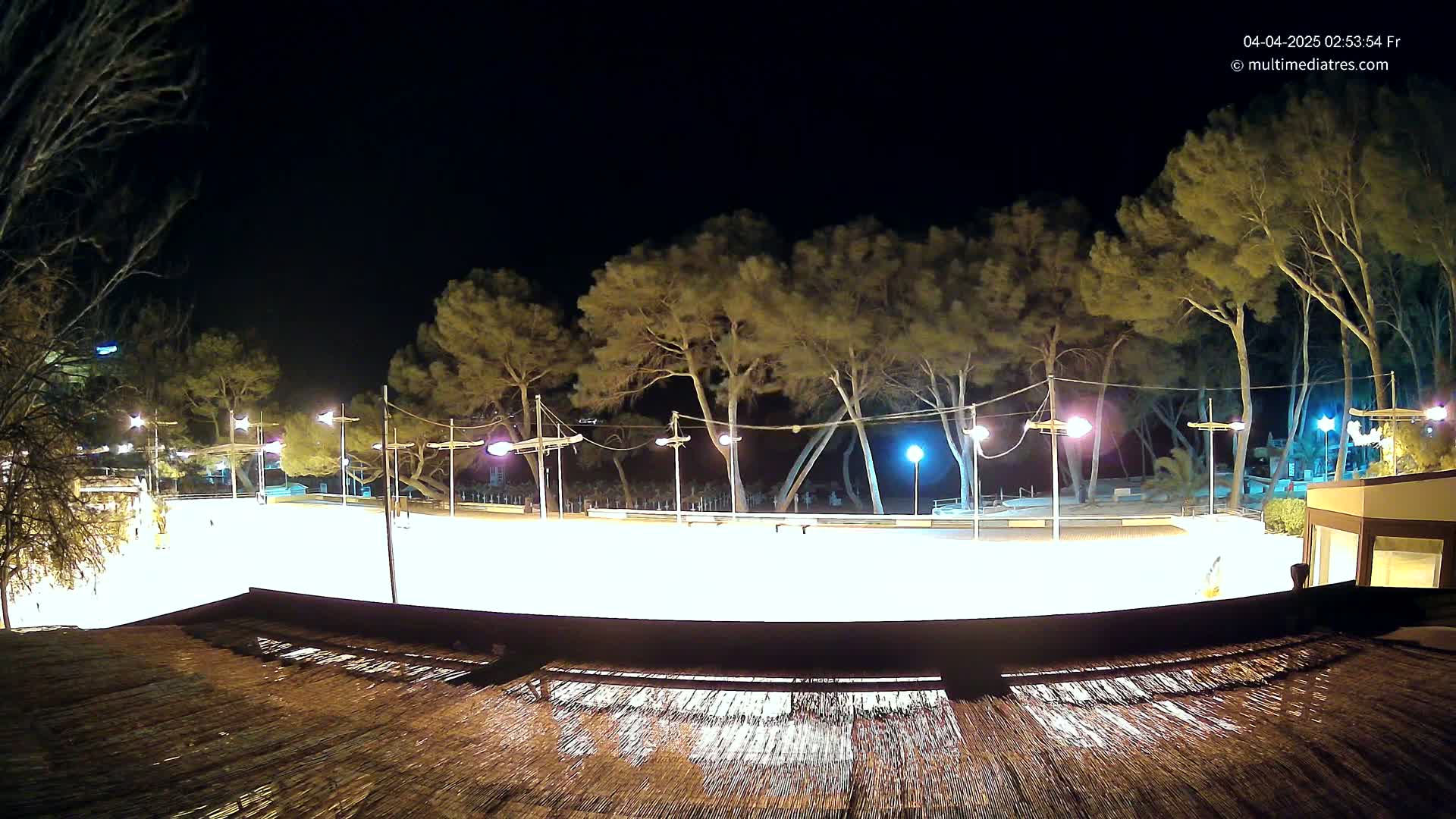A brightly lit, empty skating rink at night, surrounded by trees and illuminated by streetlights.