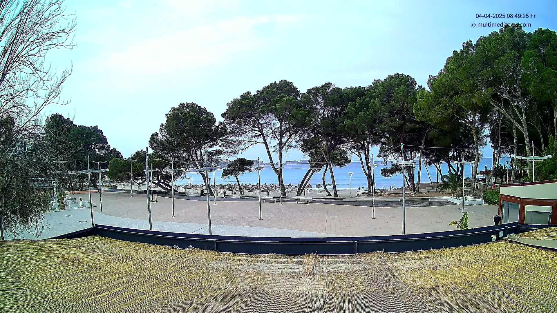 A paved plaza overlooks a beach with calm, light blue water under a mostly clear sky, lined with pine trees and beach umbrellas.