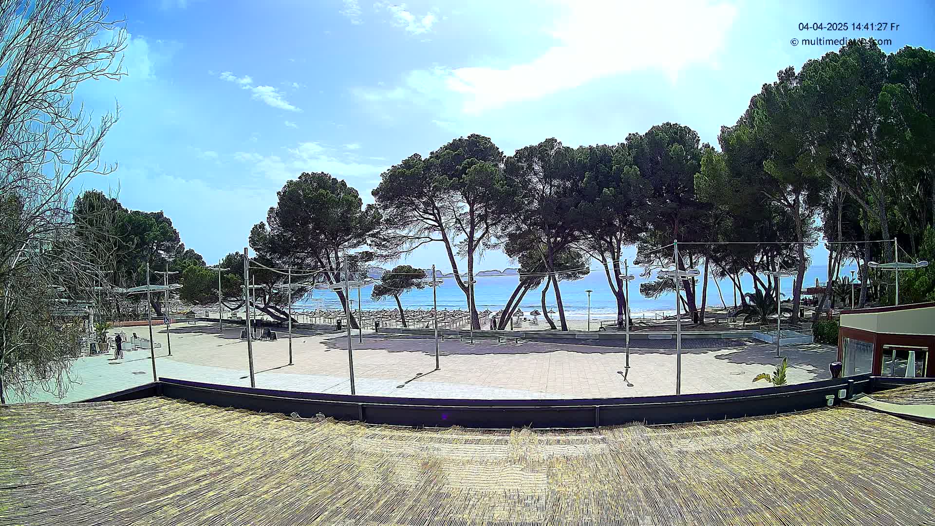 A sunny day reveals a paved plaza overlooking a beach with numerous umbrellas and turquoise water, all framed by tall pine trees.