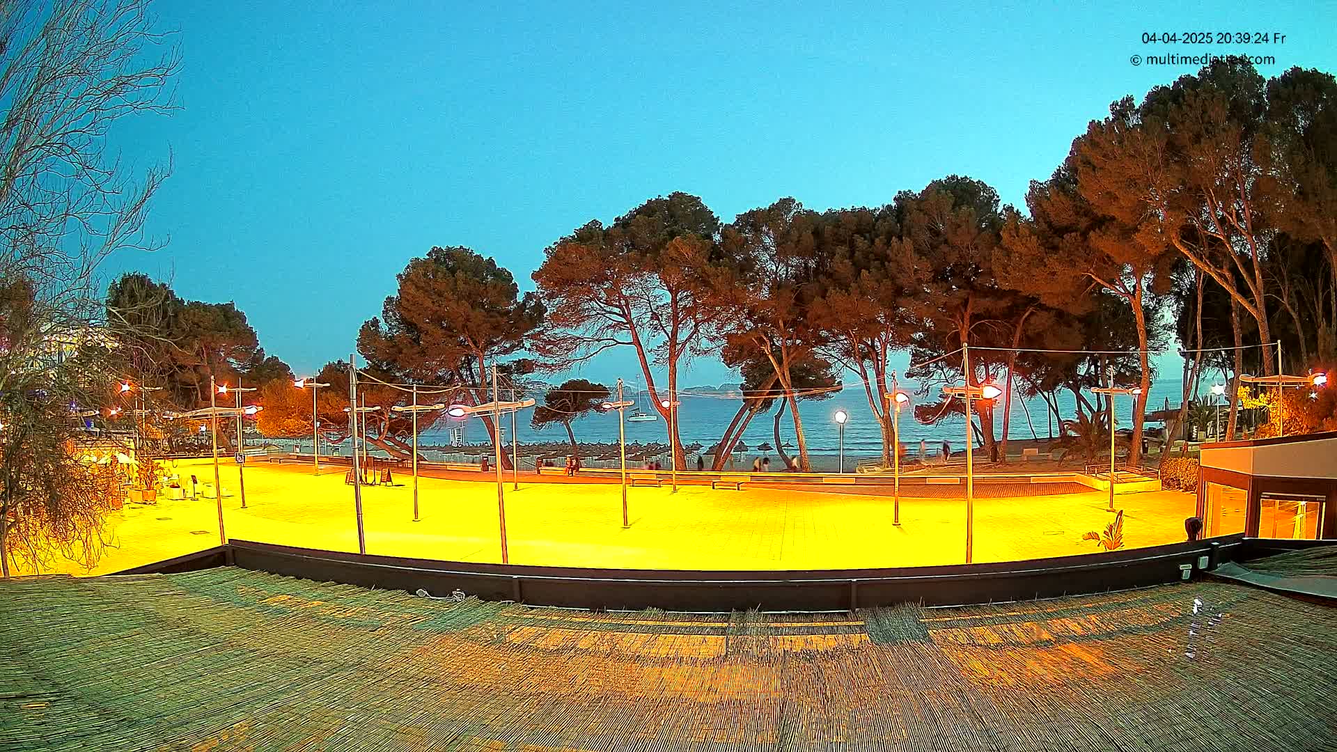 A brightly lit, empty plaza overlooks a calm sea at twilight, lined with tall, dark trees under a clear blue sky.