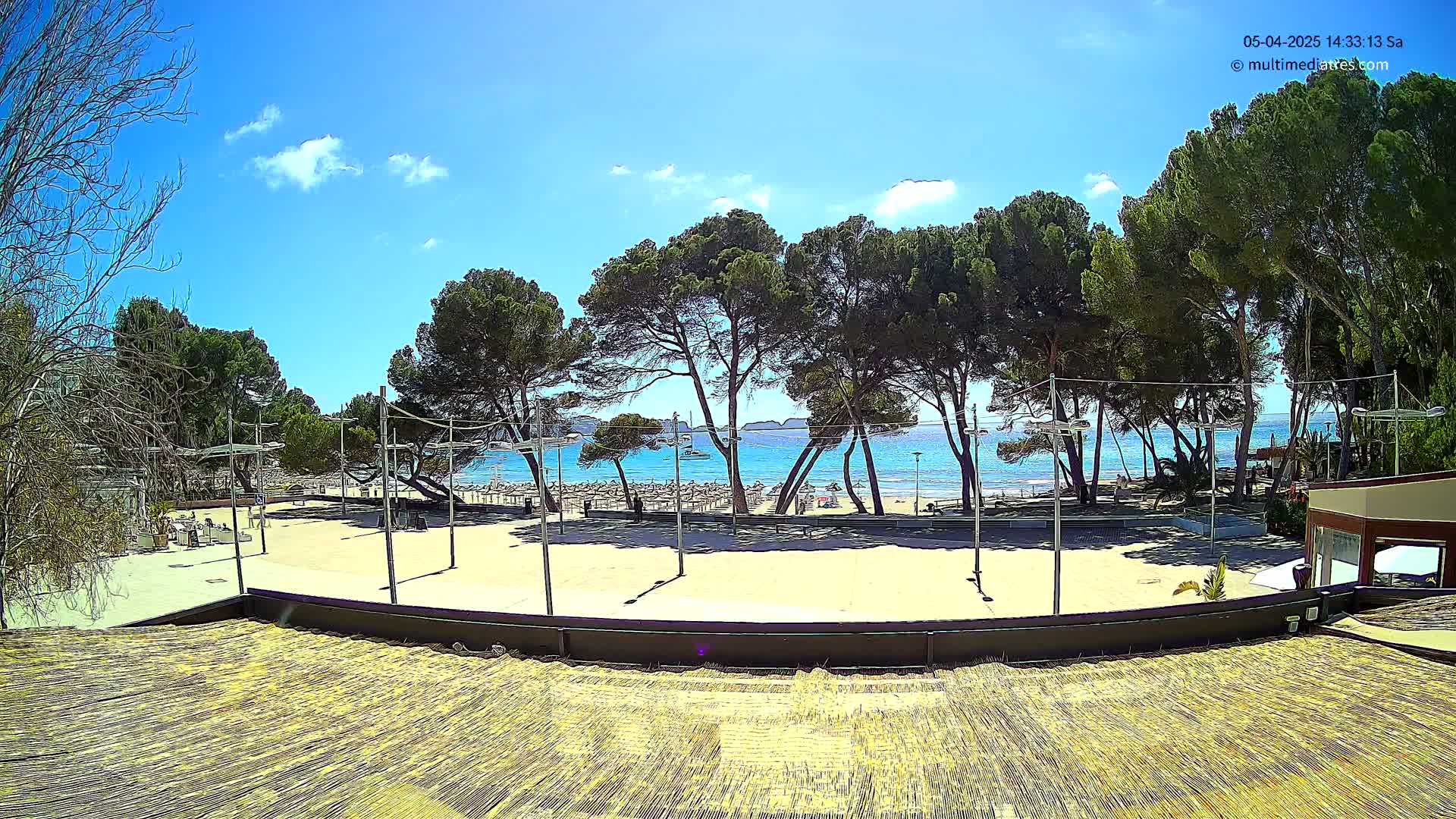 A sandy beach area with a row of pine trees separating it from an empty sandy performance space under a mostly sunny sky.