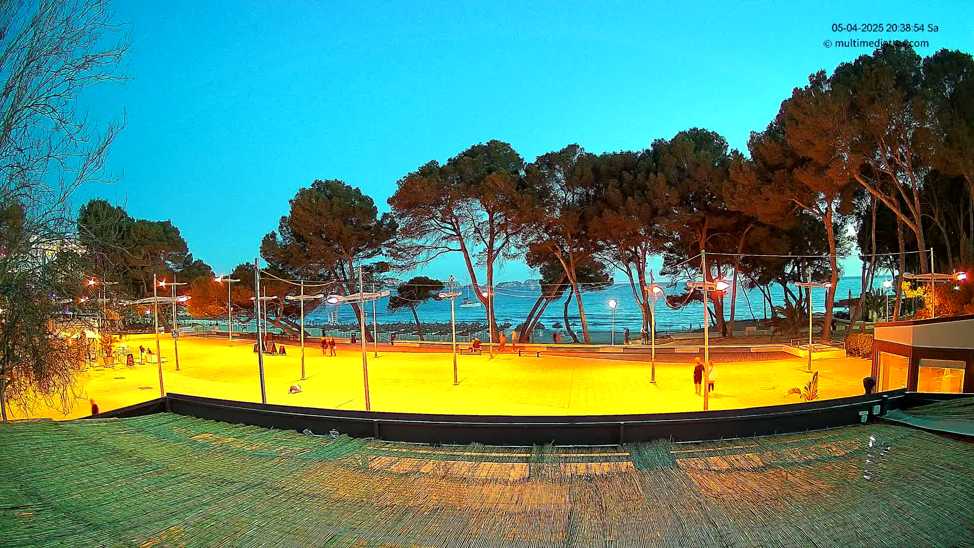 A brightly lit, empty plaza sits between a row of trees and a calm ocean under a twilight sky.