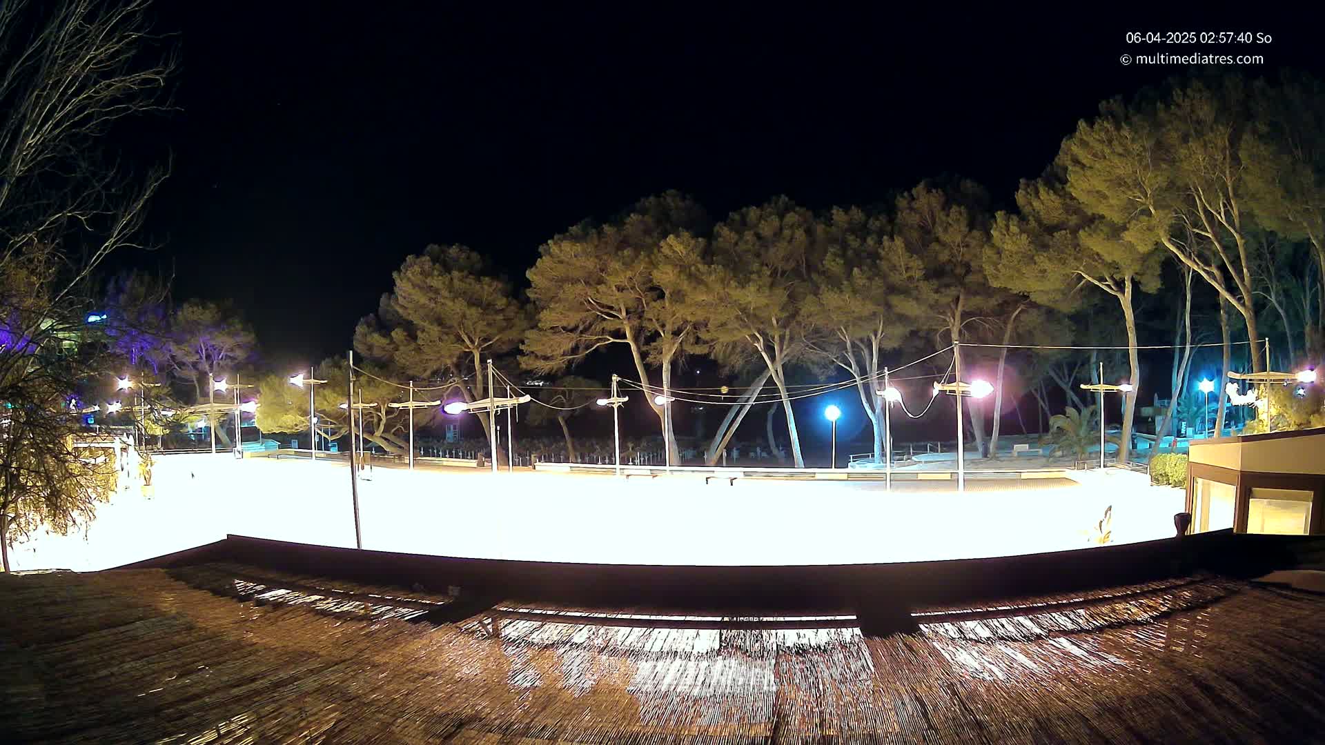 A brightly lit, empty ice rink at night, surrounded by trees and illuminated by overhead lights.