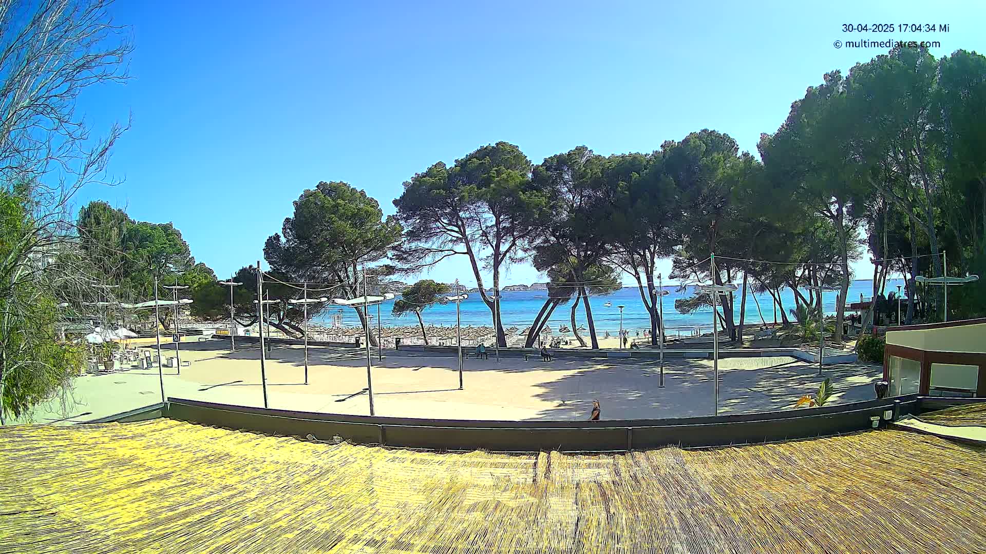 A sandy plaza overlooks a sunny beach with calm, blue water and numerous pine trees under a clear blue sky.