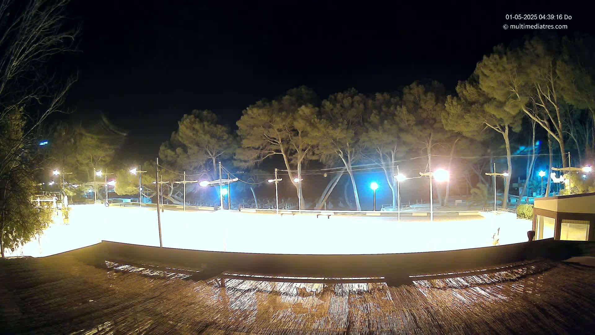 A brightly lit, empty outdoor rink at night, surrounded by tall trees under a clear, dark sky.