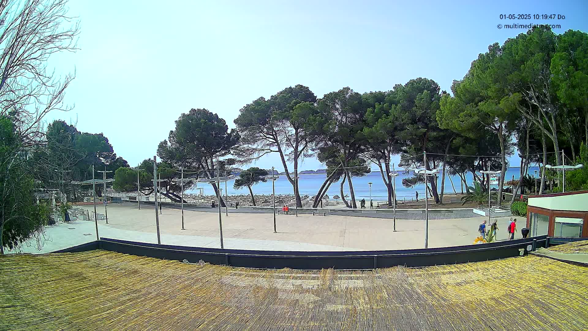 A paved plaza overlooks a calm, blue ocean dotted with beach umbrellas, beyond a line of pine trees on a sunny day.