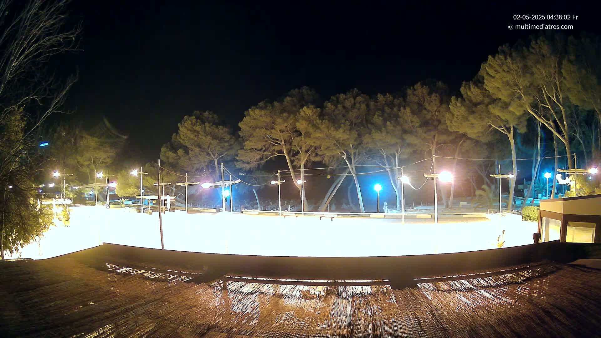 A brightly lit, empty outdoor rink is surrounded by tall, dark trees at night.