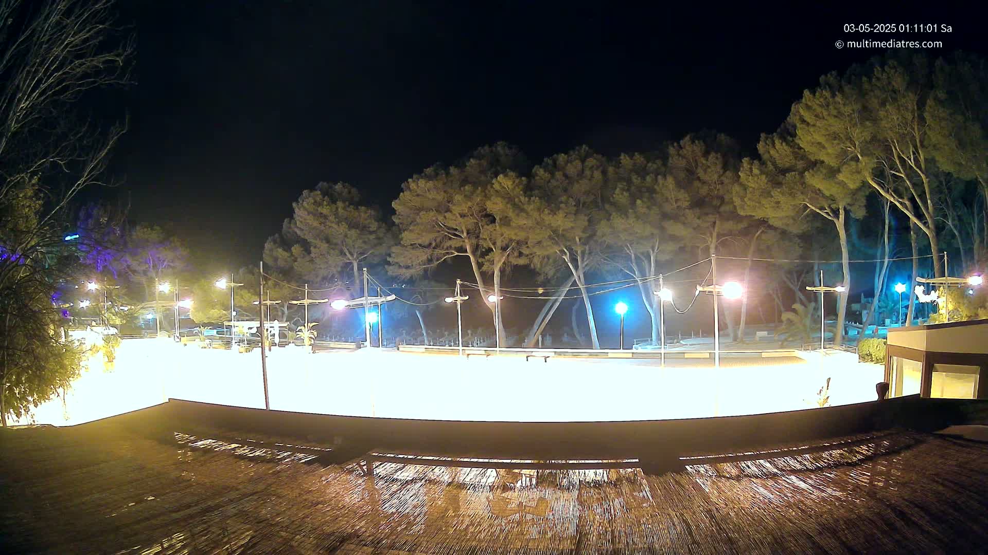 A brightly lit, empty plaza at night, surrounded by tall, dark trees under a clear sky.