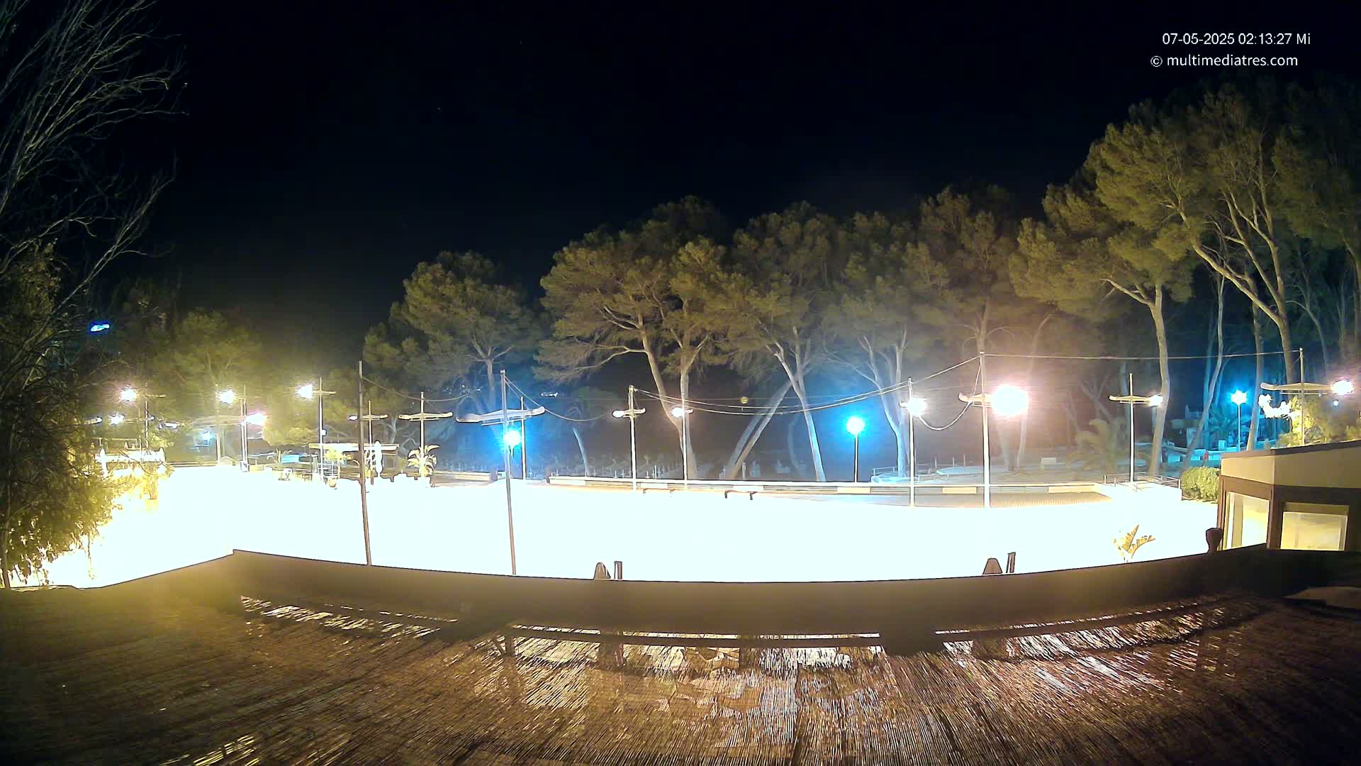A brightly lit, empty outdoor skating rink at night is surrounded by tall trees under a clear, dark sky.