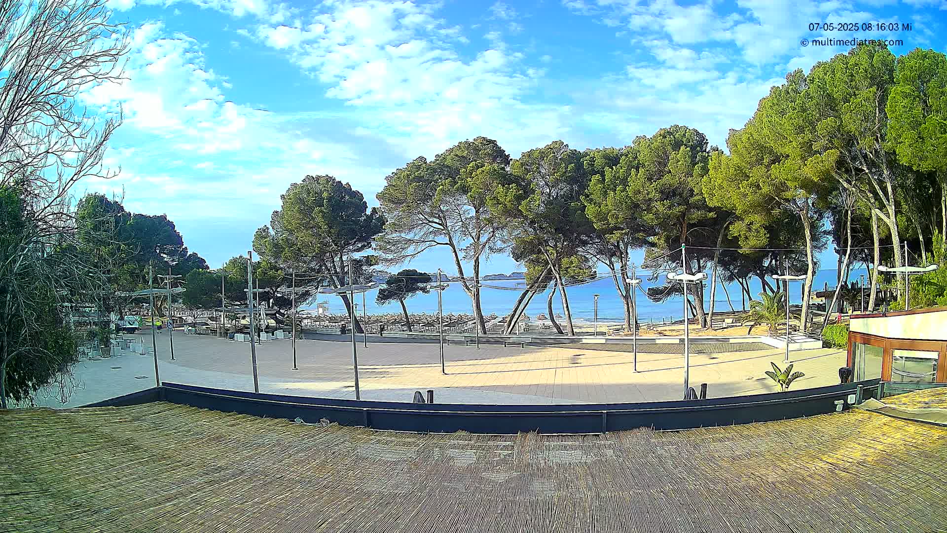 A paved plaza with tall pine trees and lampposts overlooks a calm, blue ocean under a partly cloudy sky.