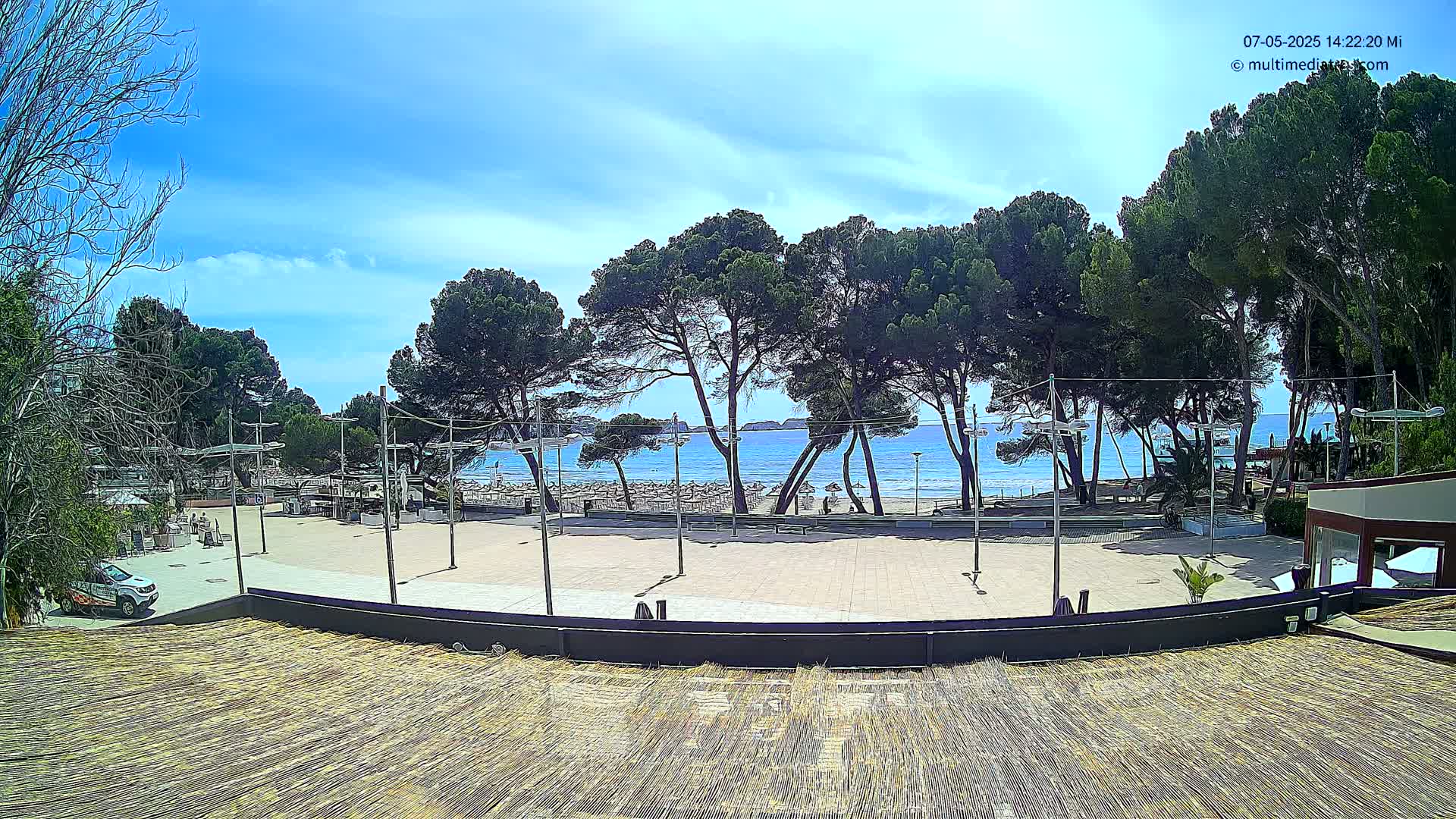 A sandy beach with light-blue water is visible beyond a paved plaza lined with tall pine trees under a mostly sunny sky.