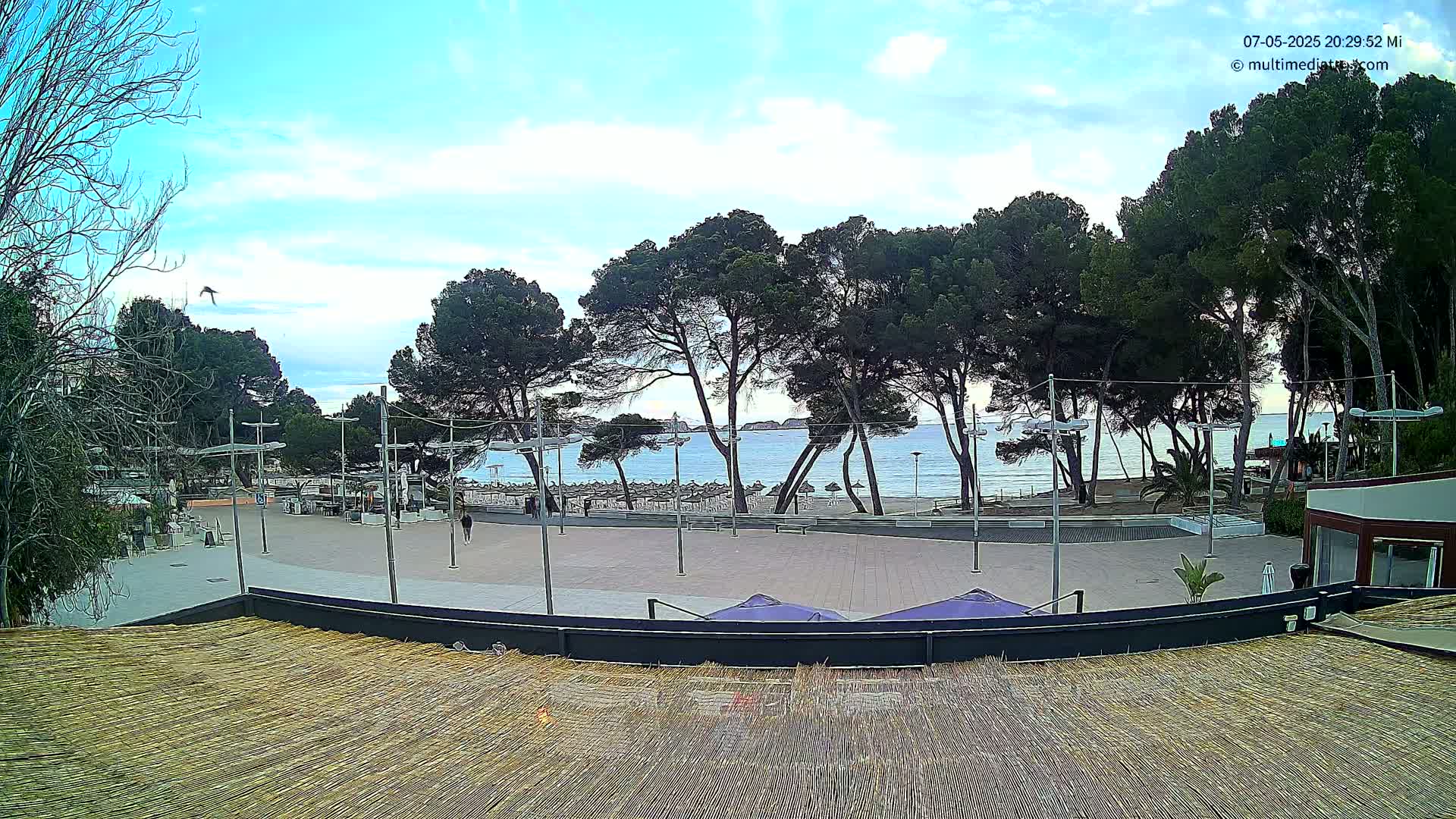 A mostly sunny day overlooking a paved plaza with several trees, a beach, and calm ocean water in the distance.