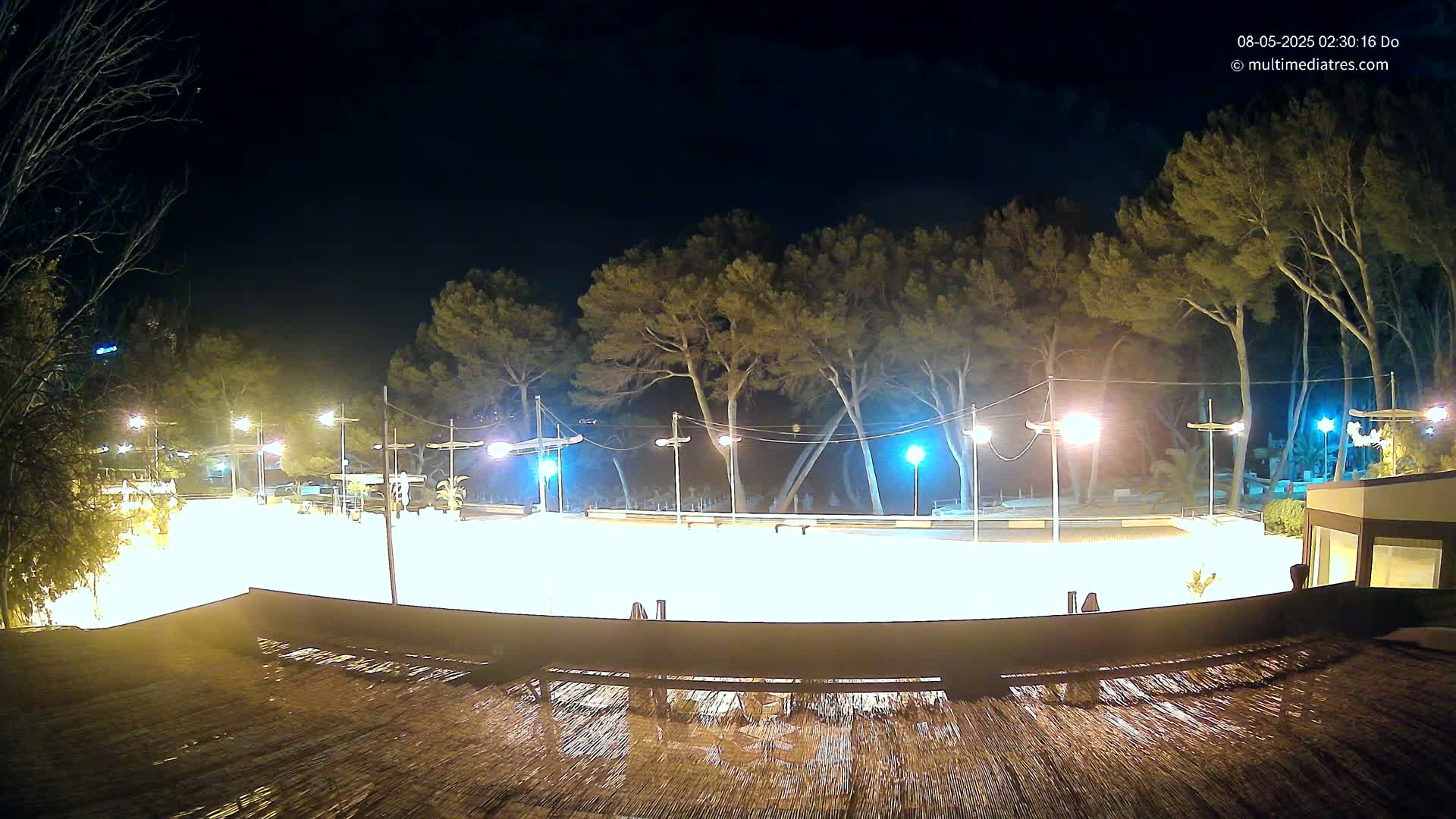 A brightly lit, empty plaza at night, surrounded by tall pine trees under a clear, dark sky.