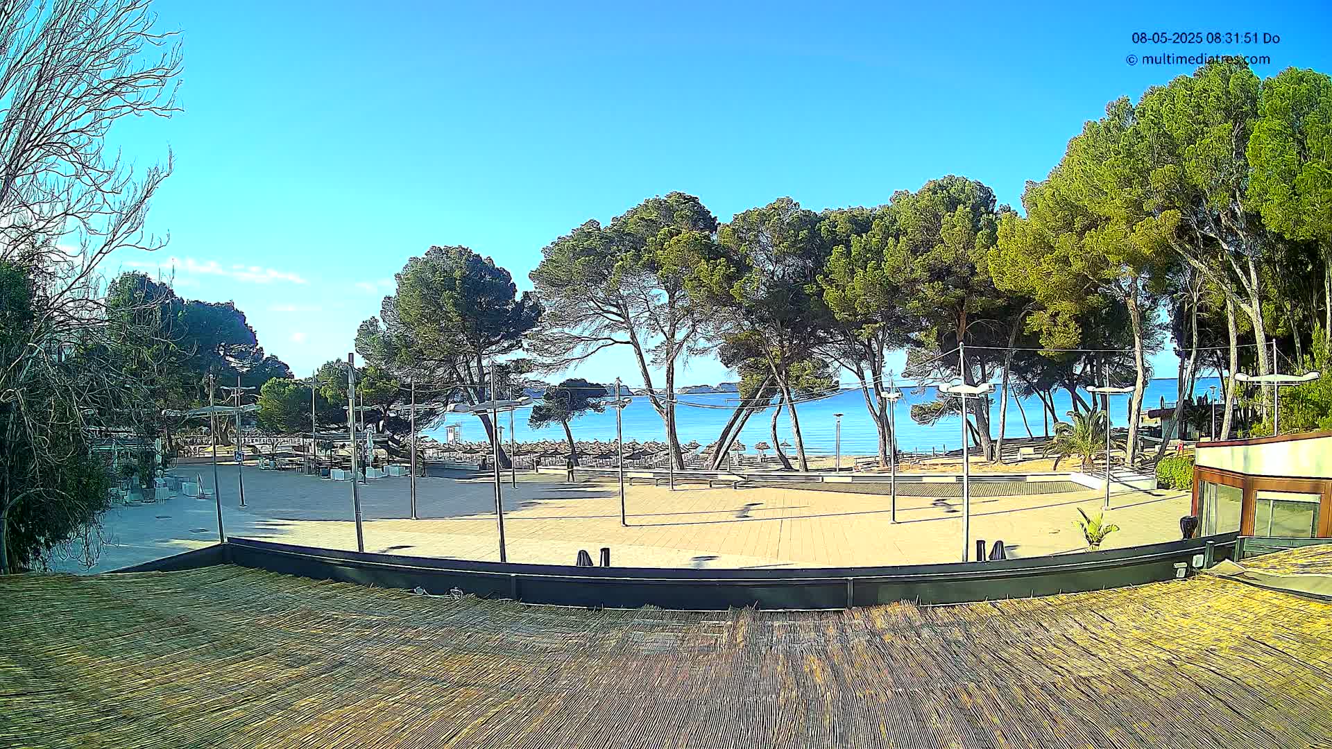 A paved plaza with several lampposts overlooks a calm, blue ocean beach lined with trees under a clear, sunny sky.