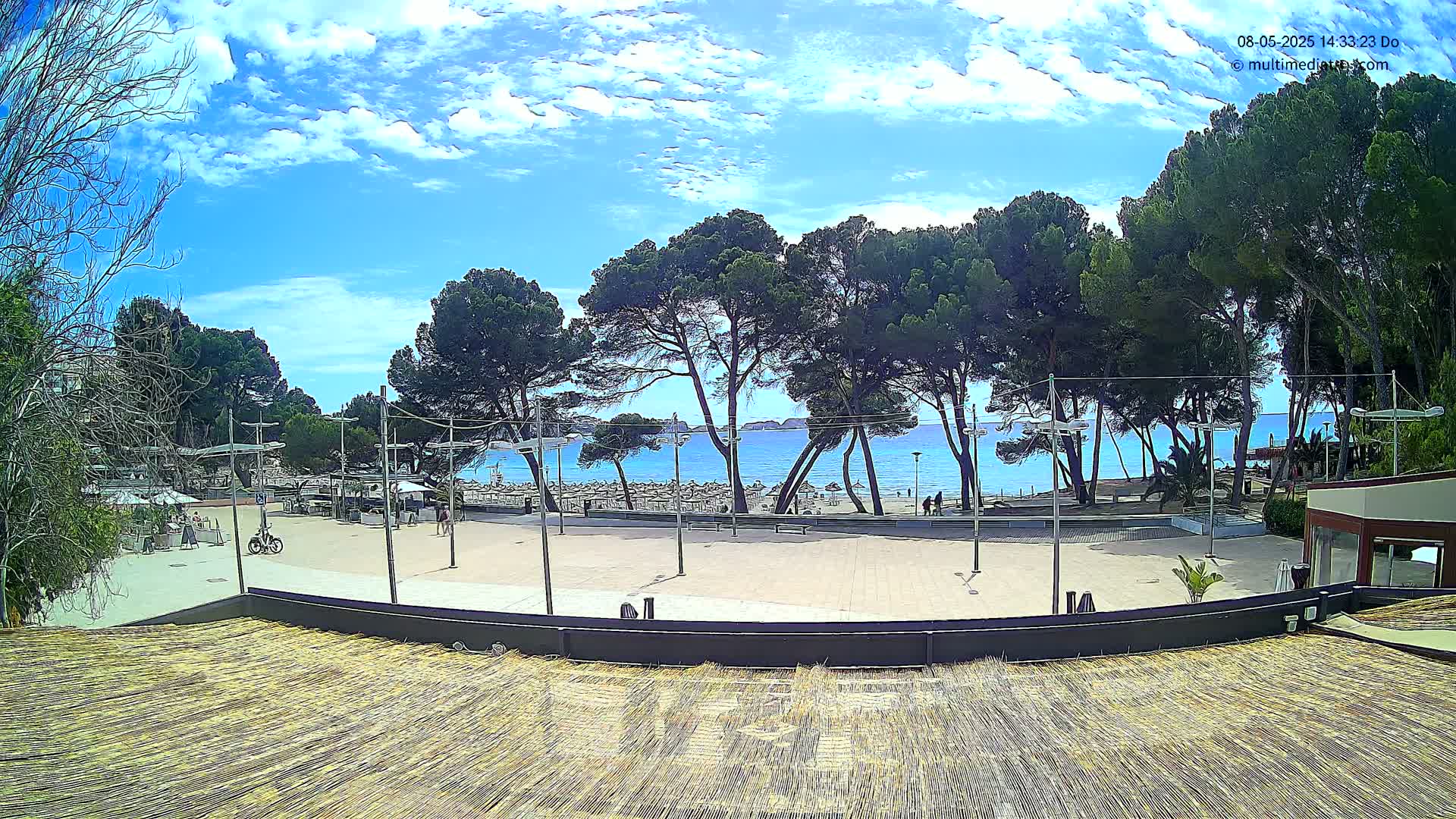 A partly sunny day overlooking a beach with a row of pine trees, a plaza, and a thatched roof in the foreground.