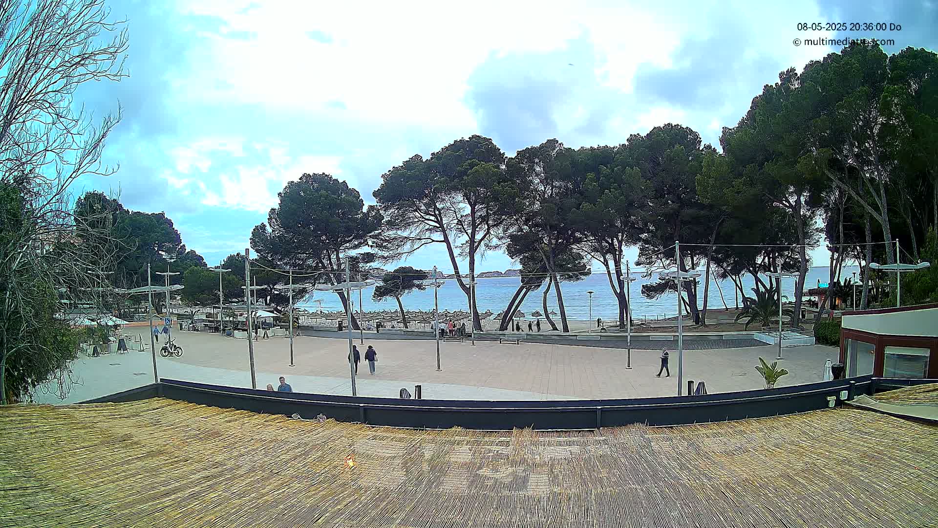 A mostly sunny outdoor scene shows a paved plaza with a few people walking, lined with pine trees overlooking a calm, light-blue ocean beach.