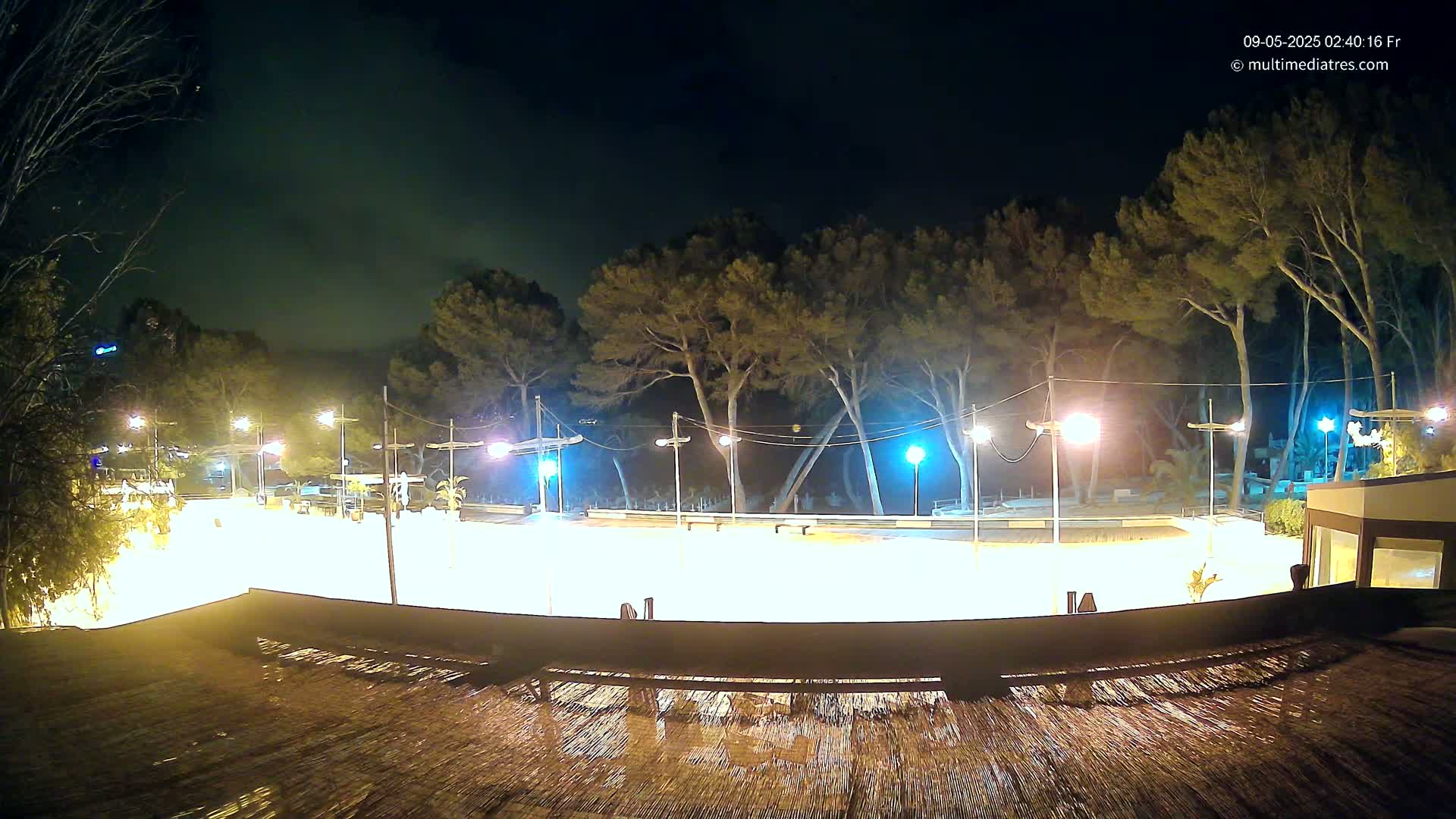 A brightly lit, empty outdoor rink is surrounded by trees at night under a dark sky.