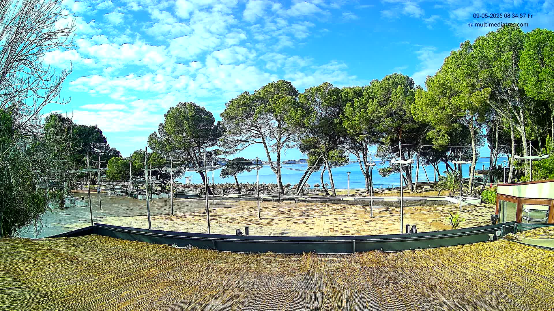A paved plaza overlooks a calm ocean under a partly sunny sky, with a row of pine trees separating the two.