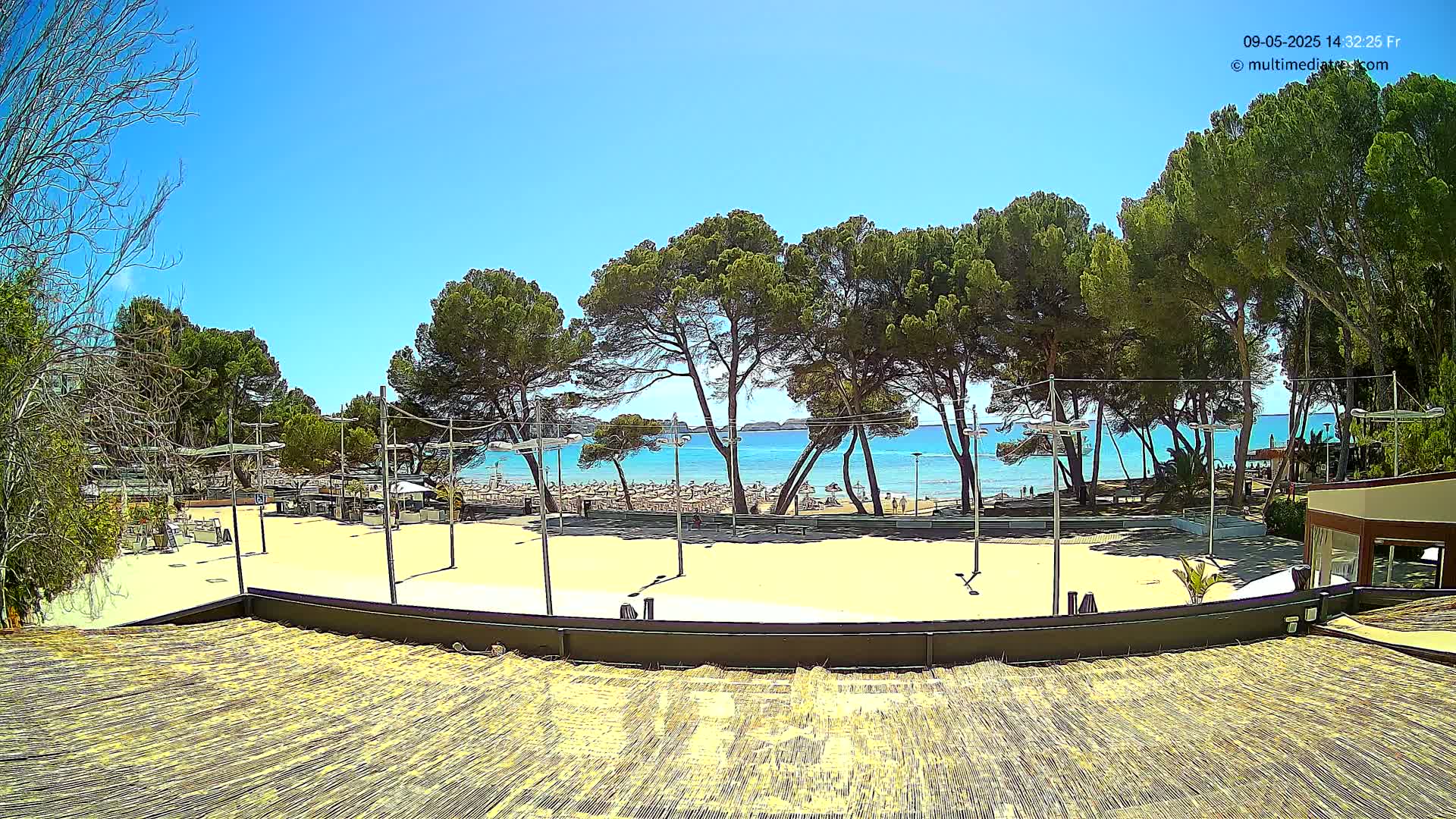 A sandy beach area with many people and beach umbrellas is visible beyond a line of pine trees under a clear blue sky.