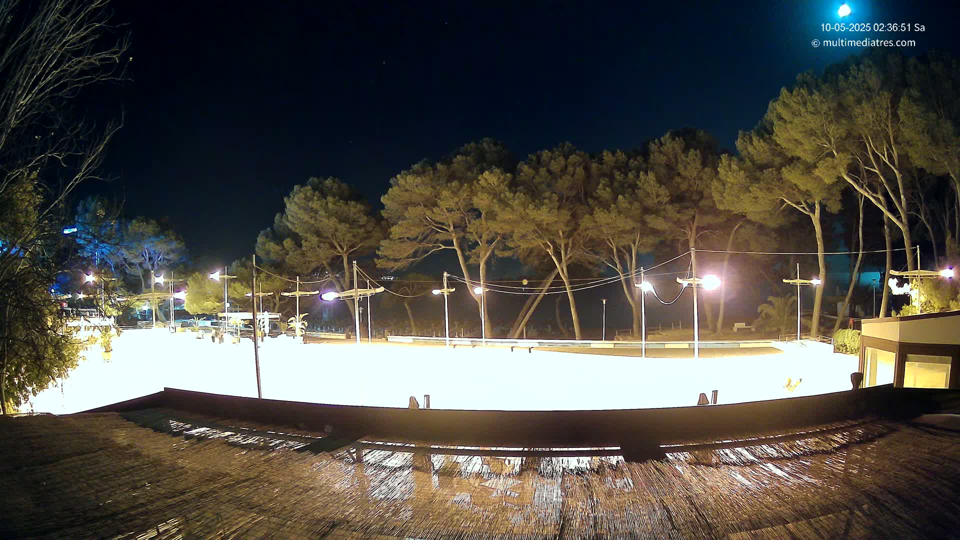 A brightly lit, empty outdoor rink at night, surrounded by tall pine trees under a clear, dark sky.